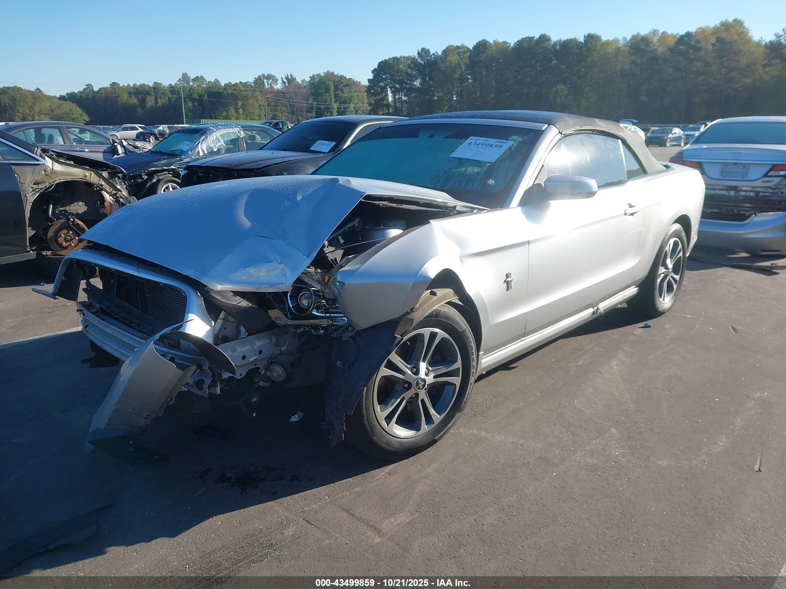 FORD MUSTANG image 2