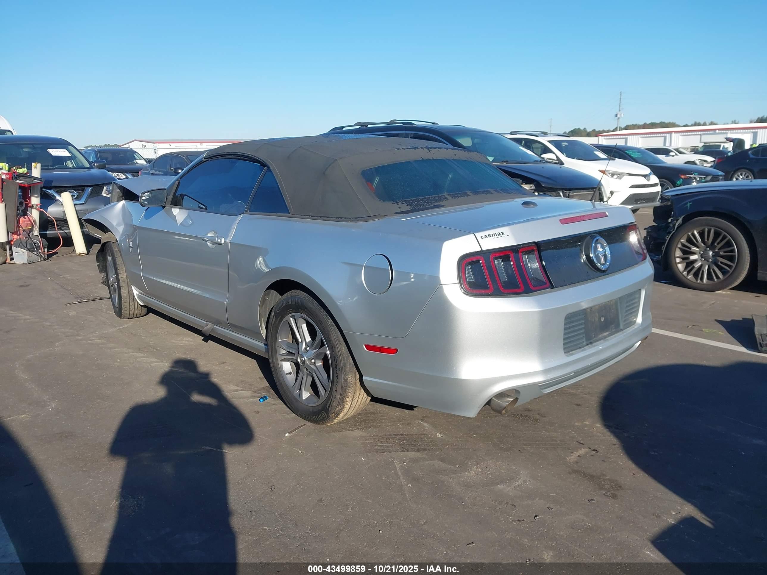 FORD MUSTANG image 3
