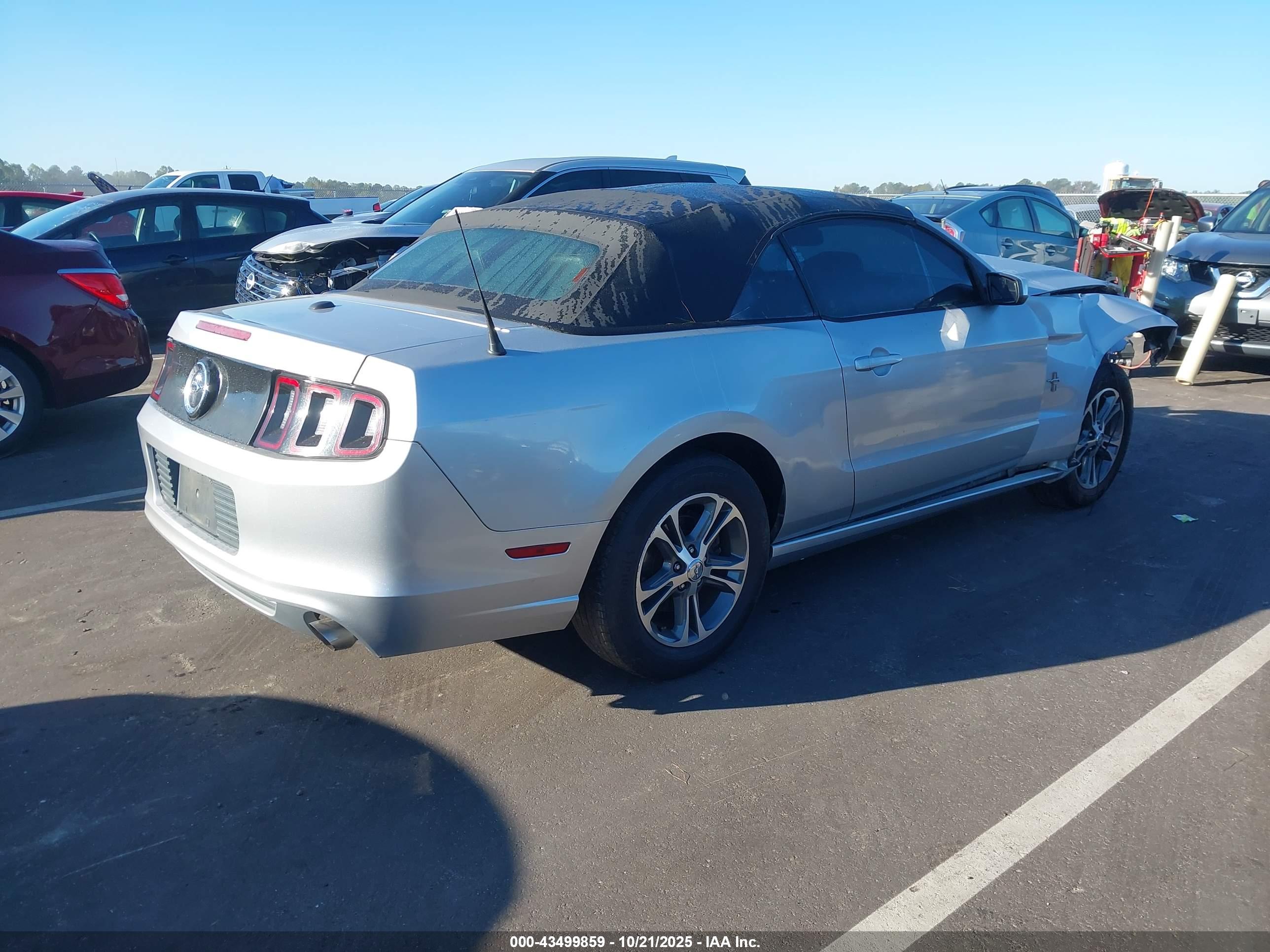 FORD MUSTANG image 4