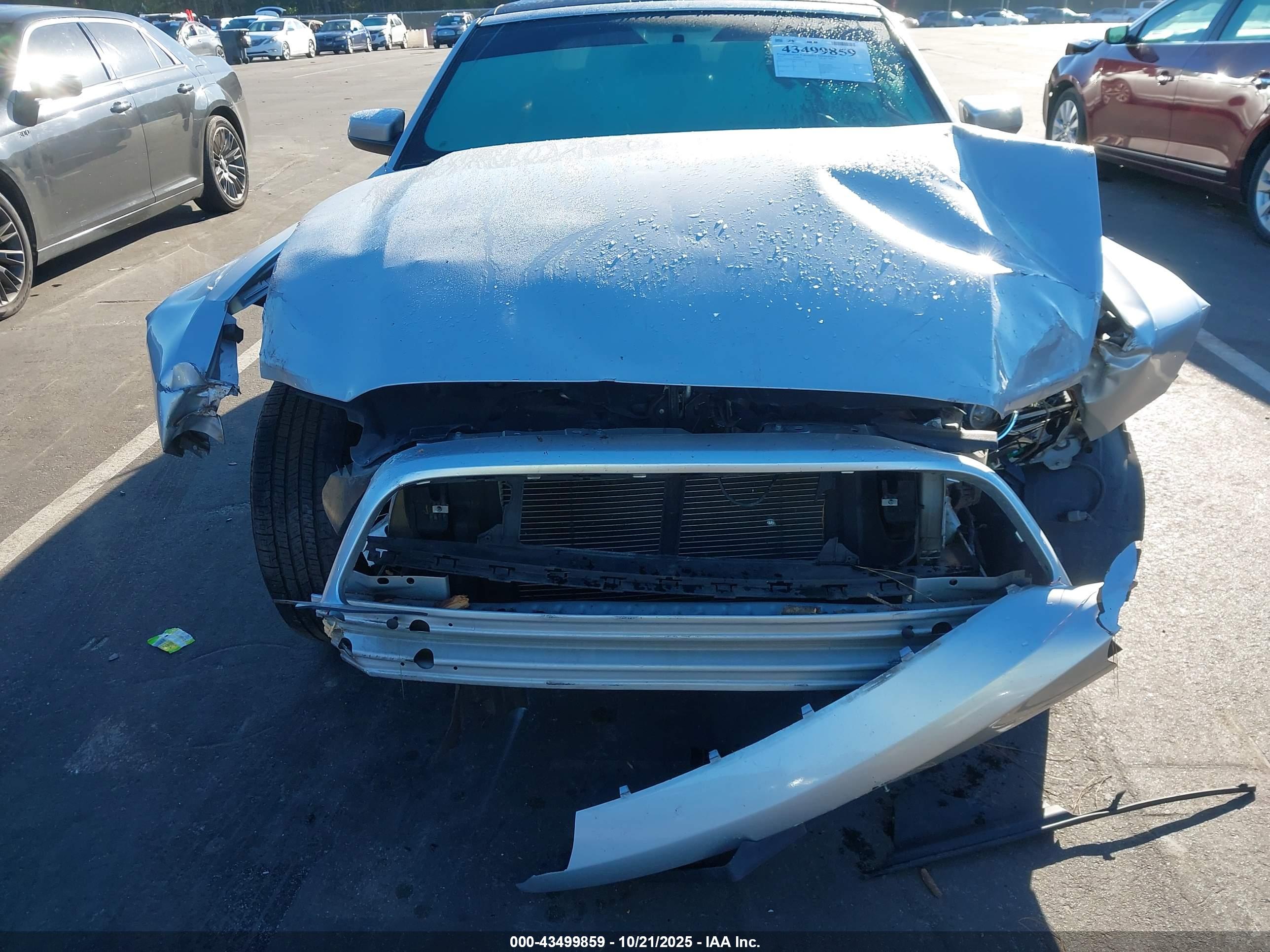 FORD MUSTANG image 6