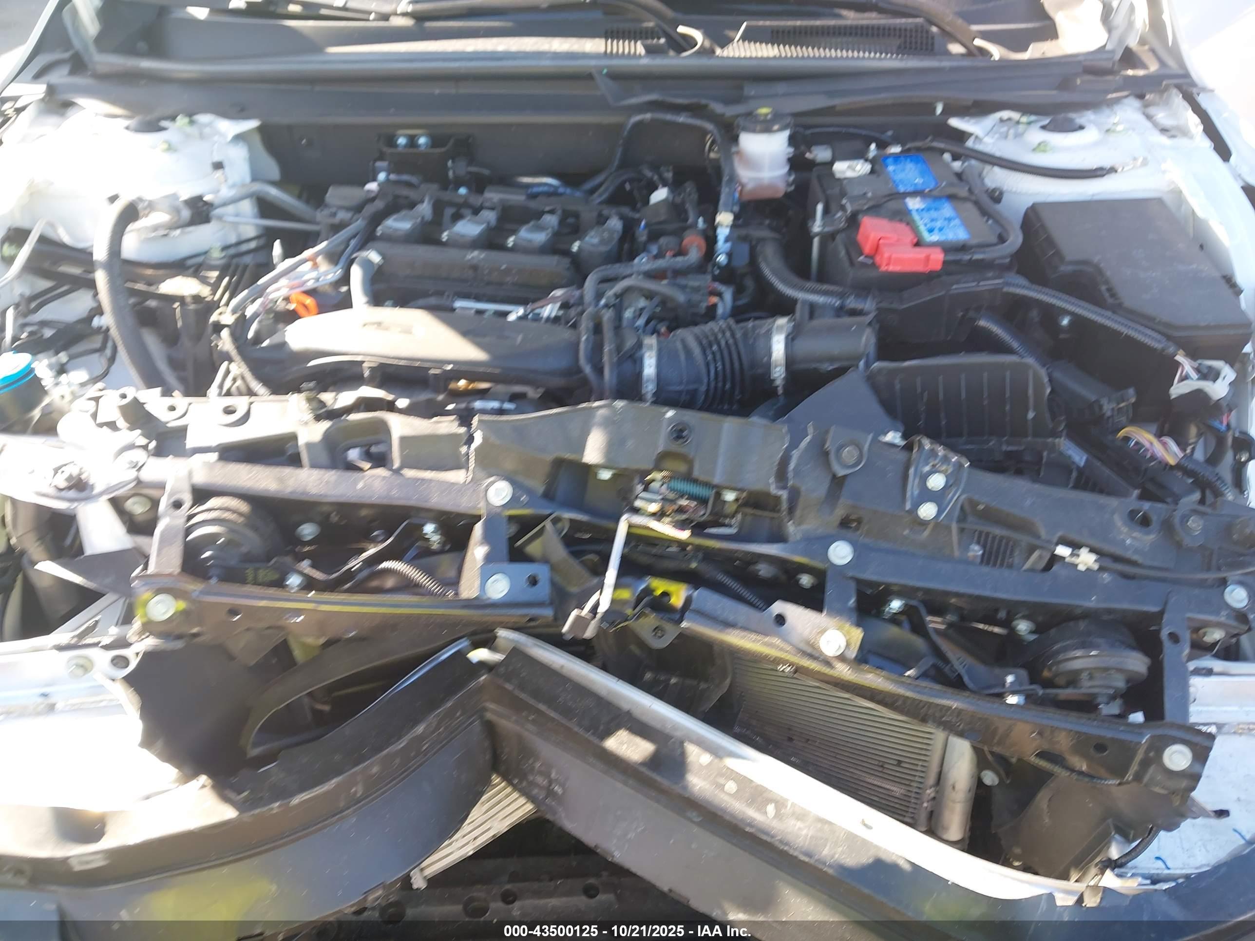 HONDA ACCORD image 10