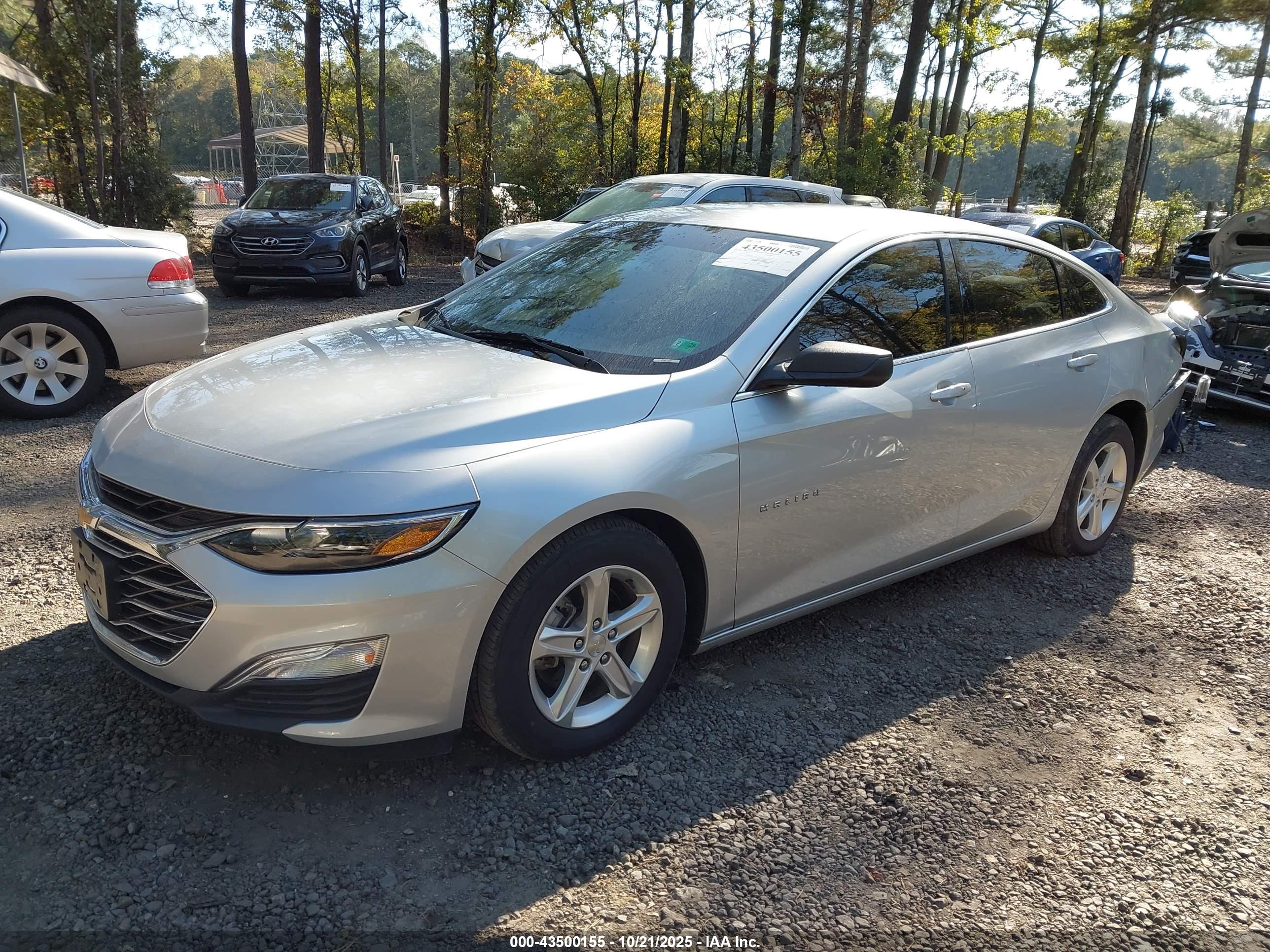 CHEVROLET MALIBU image 2