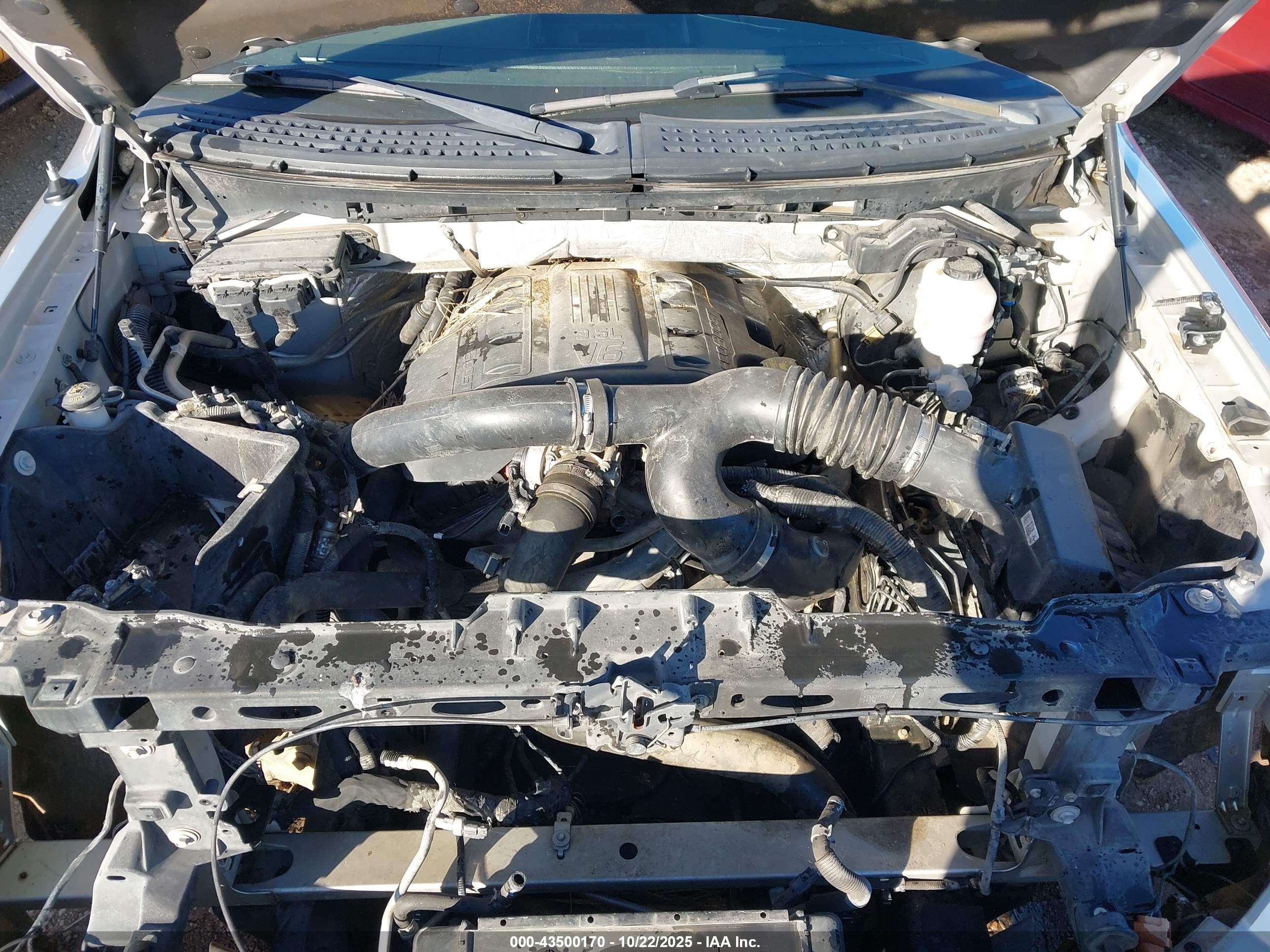 FORD F-150 image 10
