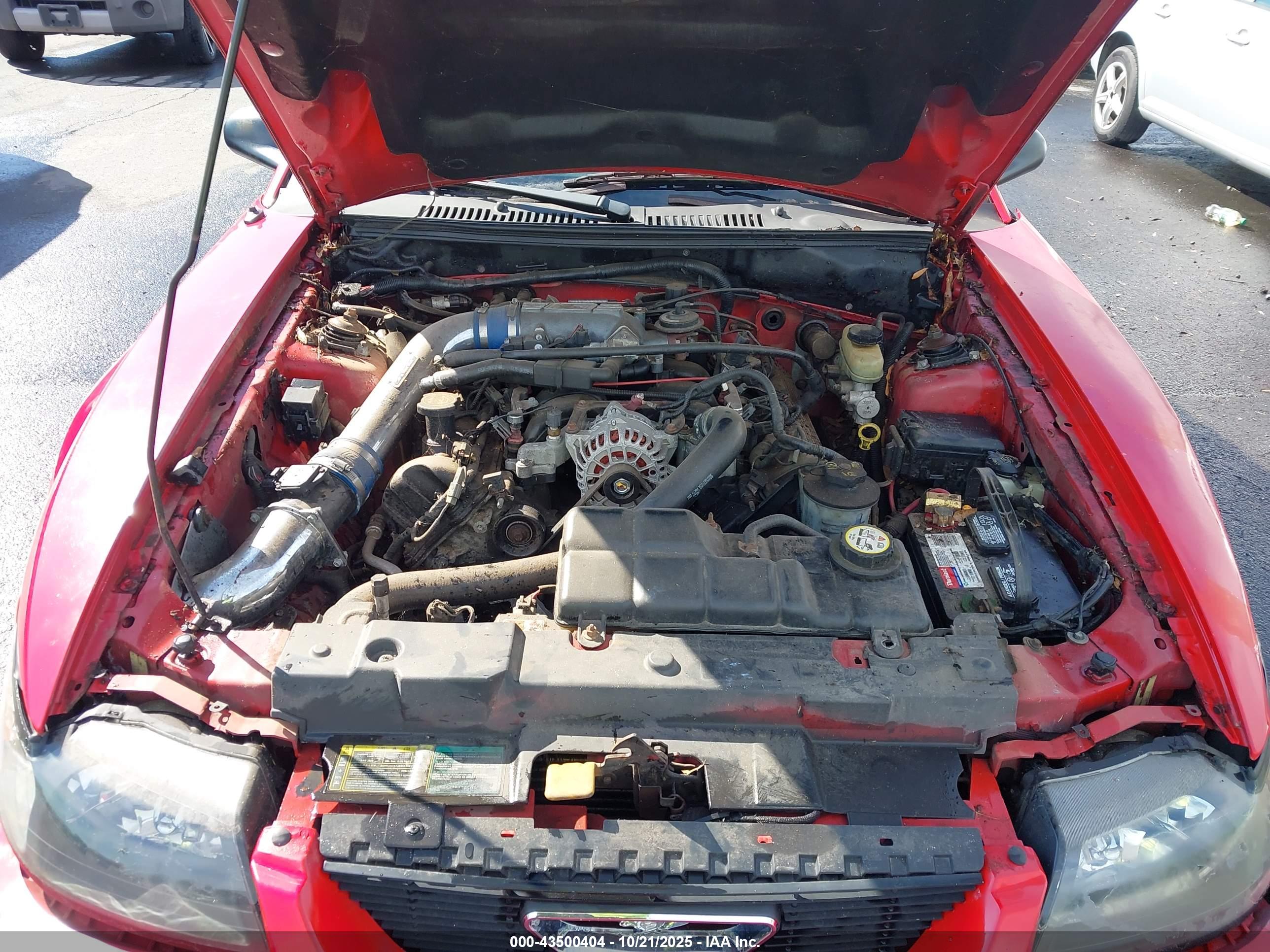 FORD MUSTANG image 10