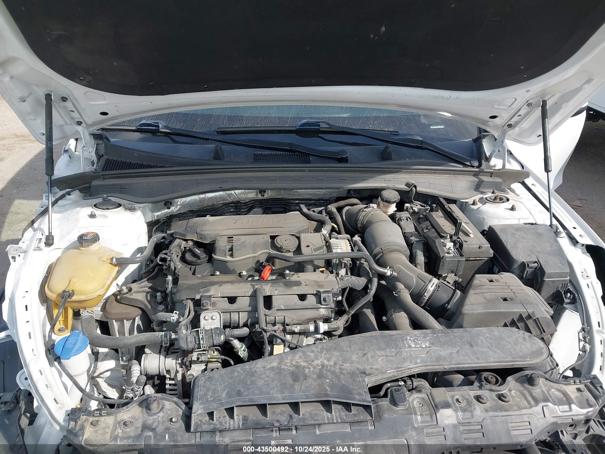 KIA K5 image 10
