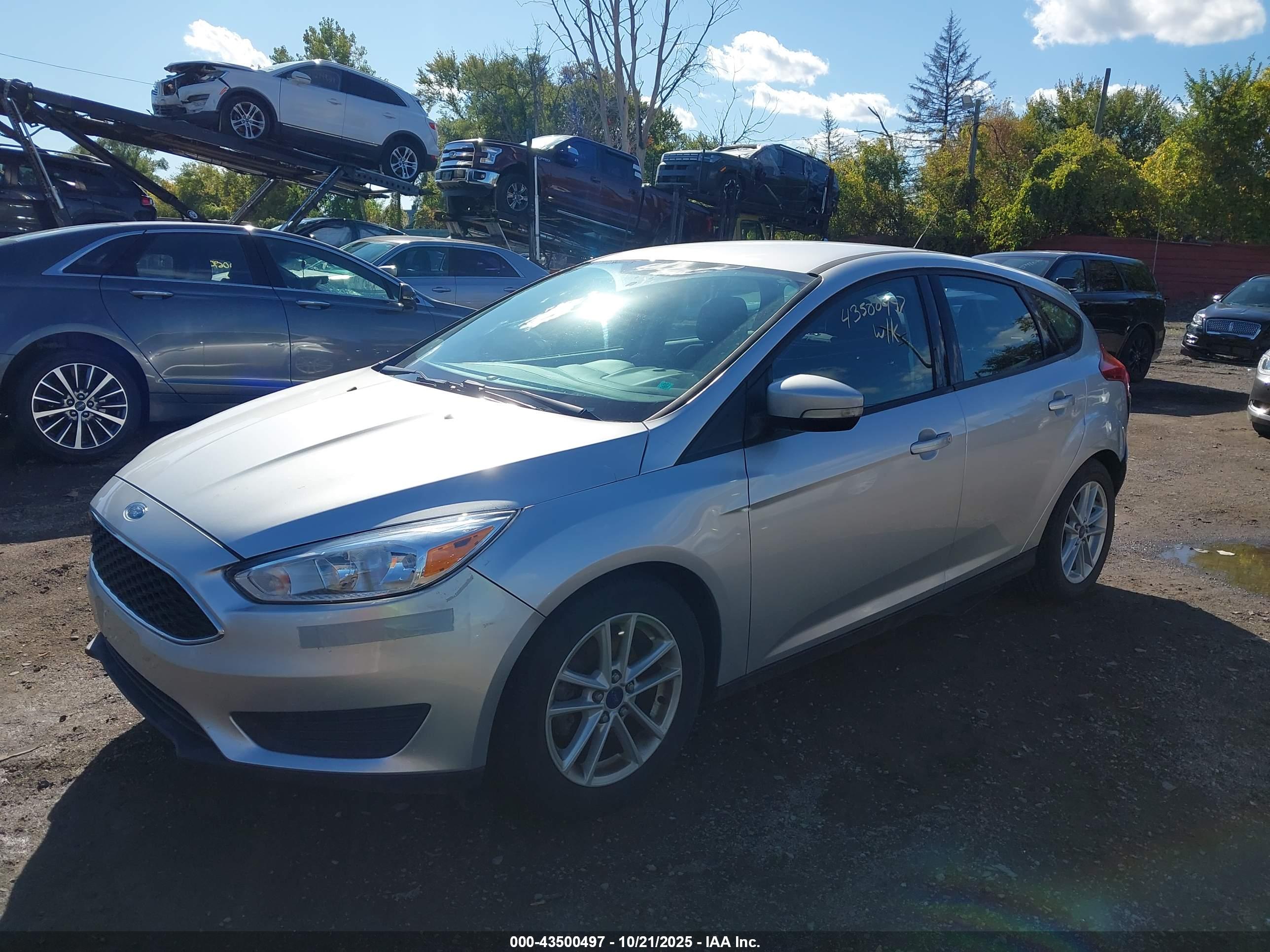 FORD FOCUS image 2