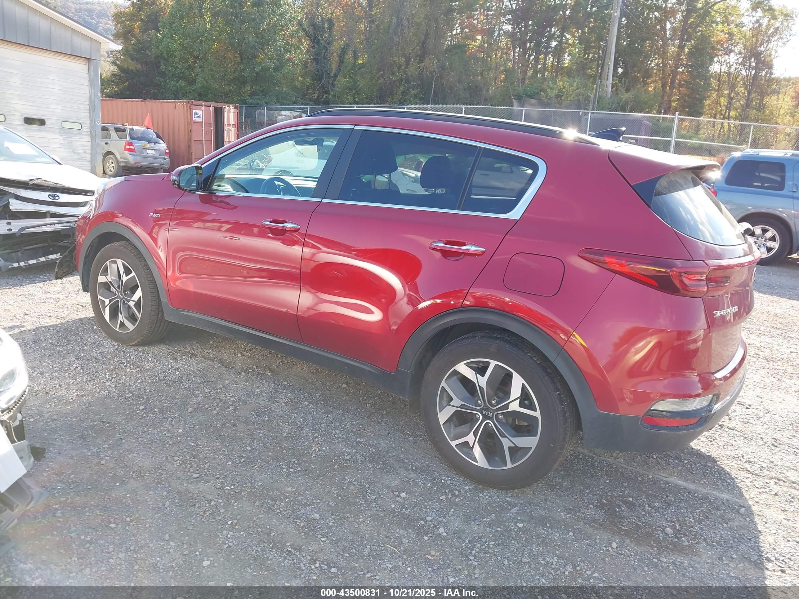 KIA SPORTAGE image 3