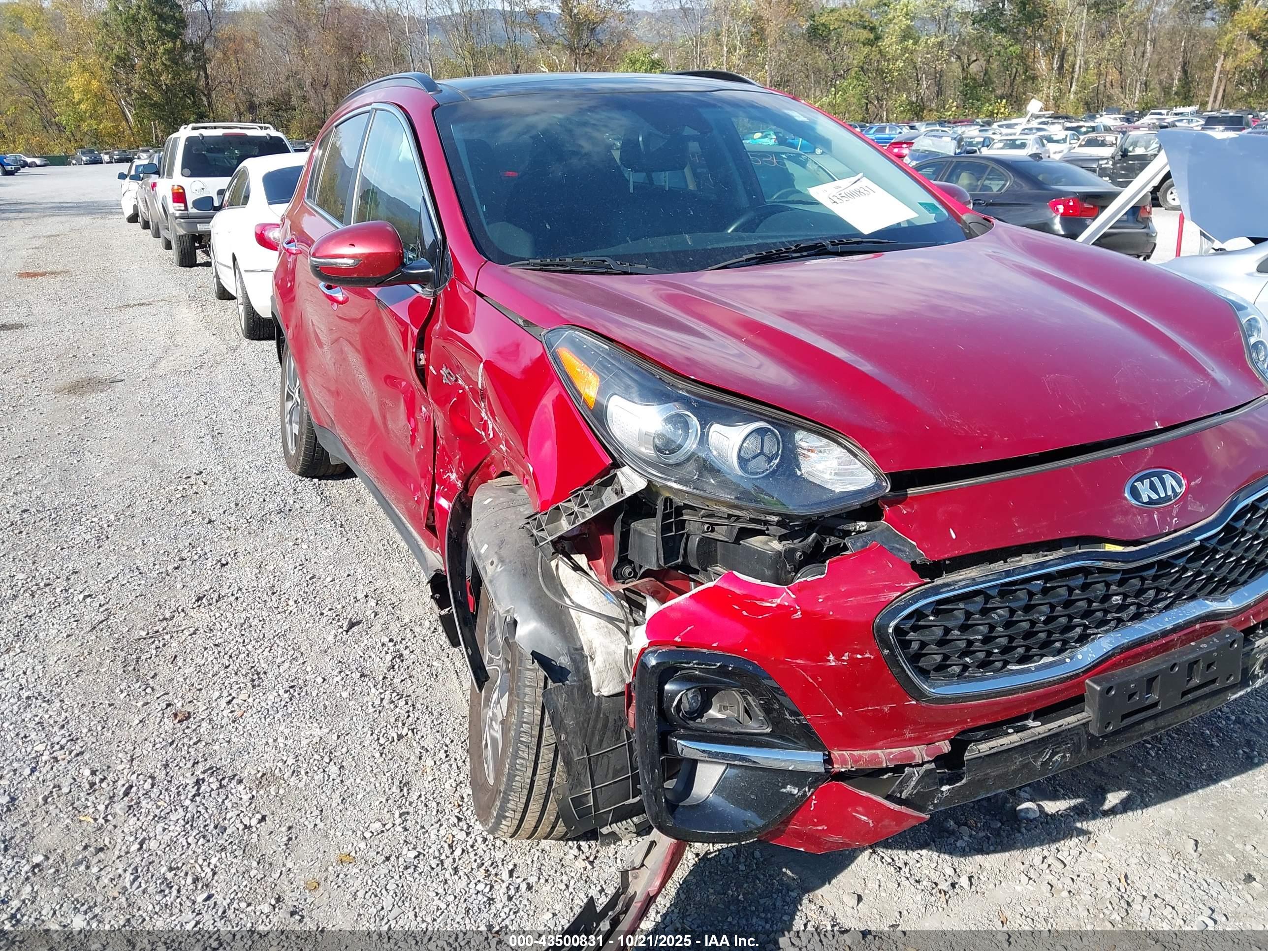 KIA SPORTAGE image 6
