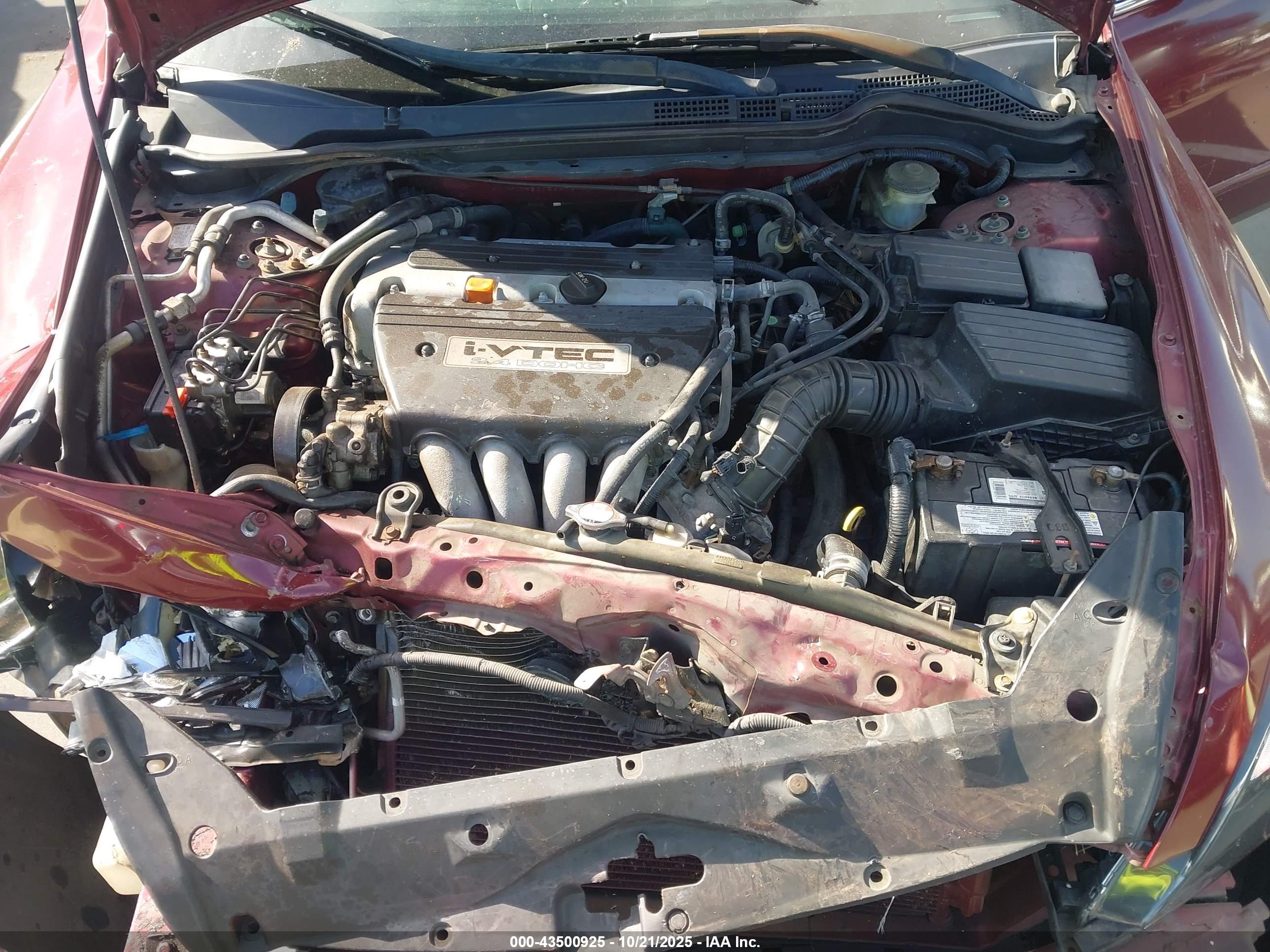 HONDA ACCORD image 10