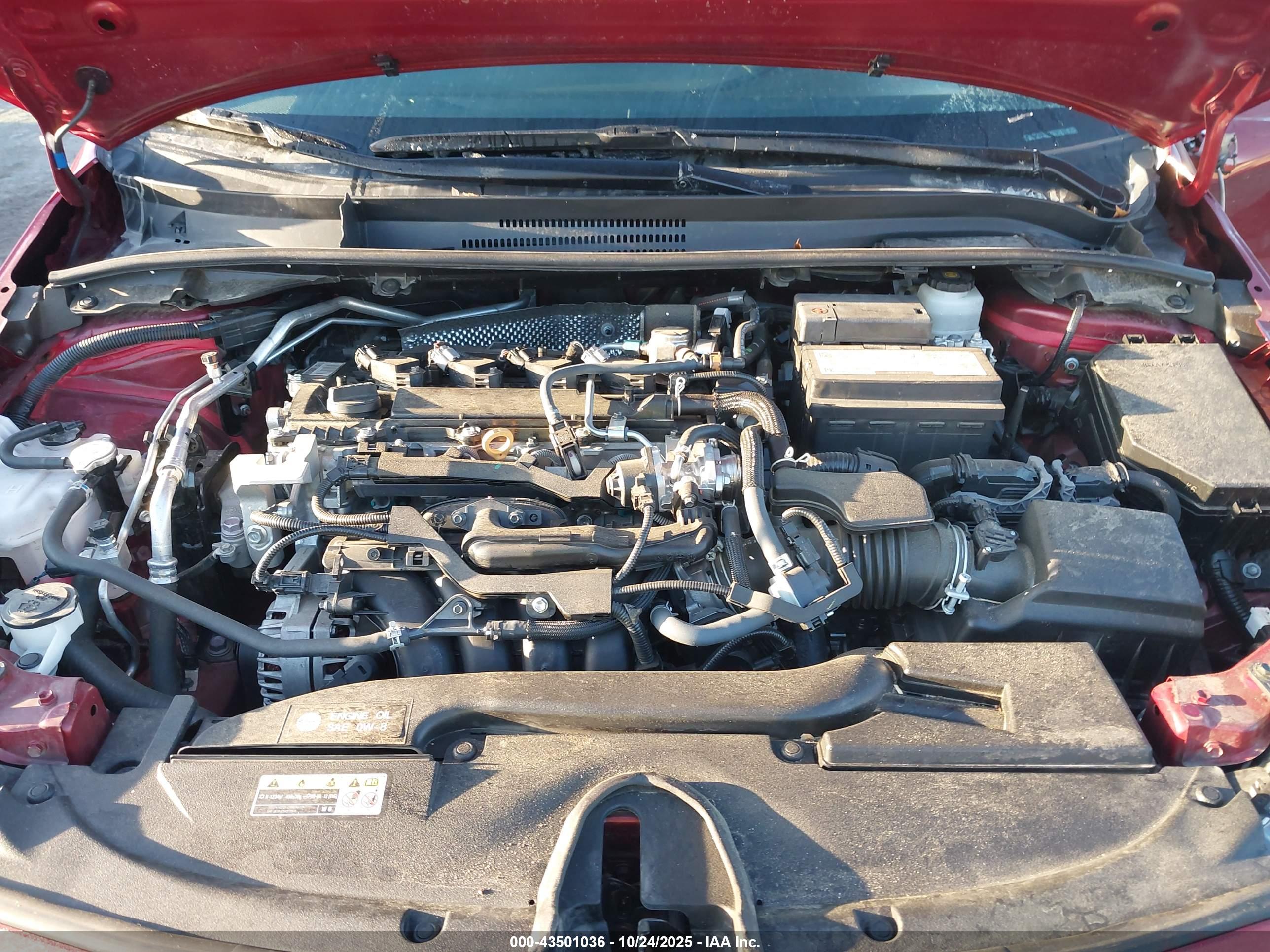 TOYOTA COROLLA image 10