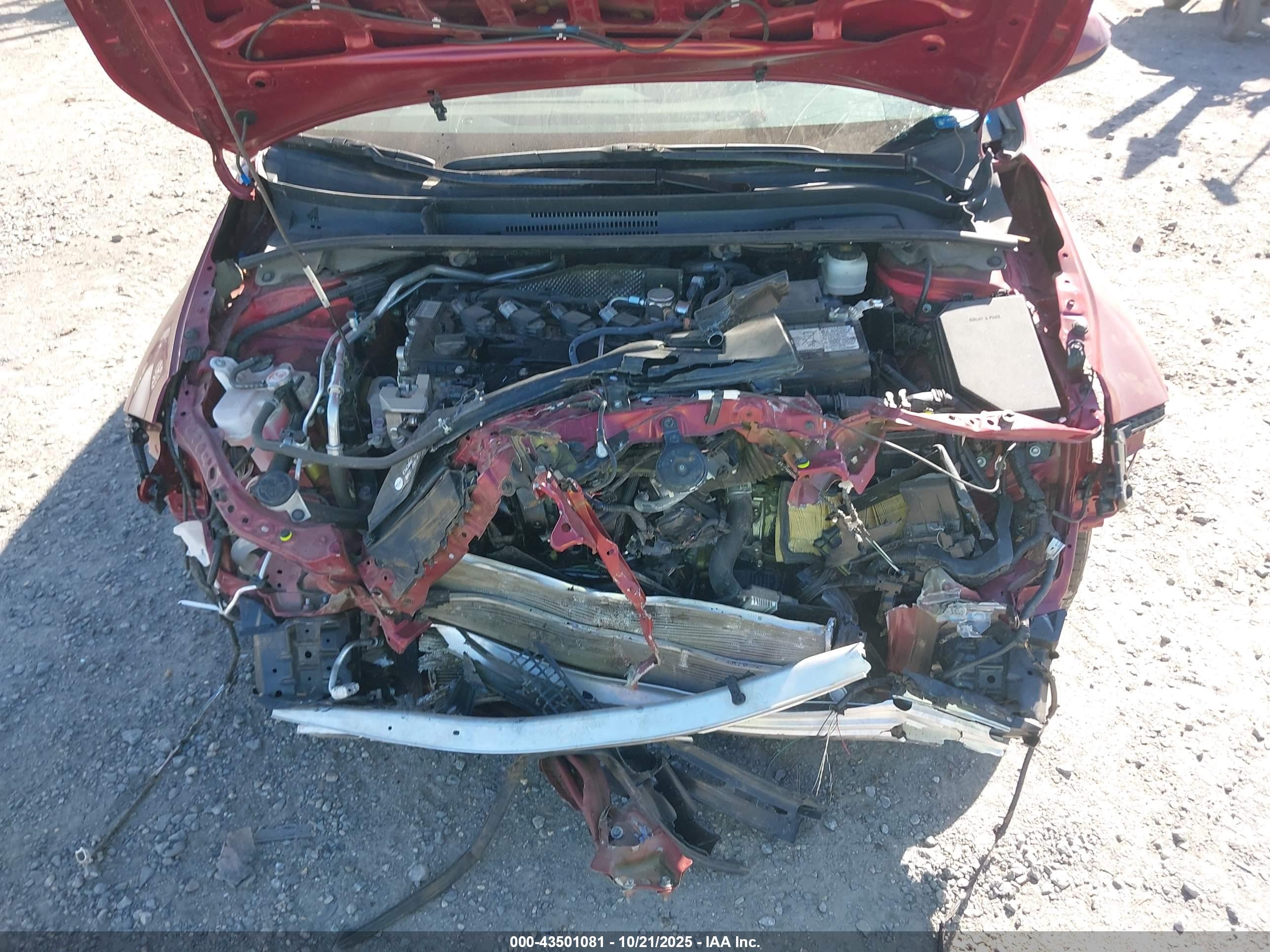 TOYOTA COROLLA image 10