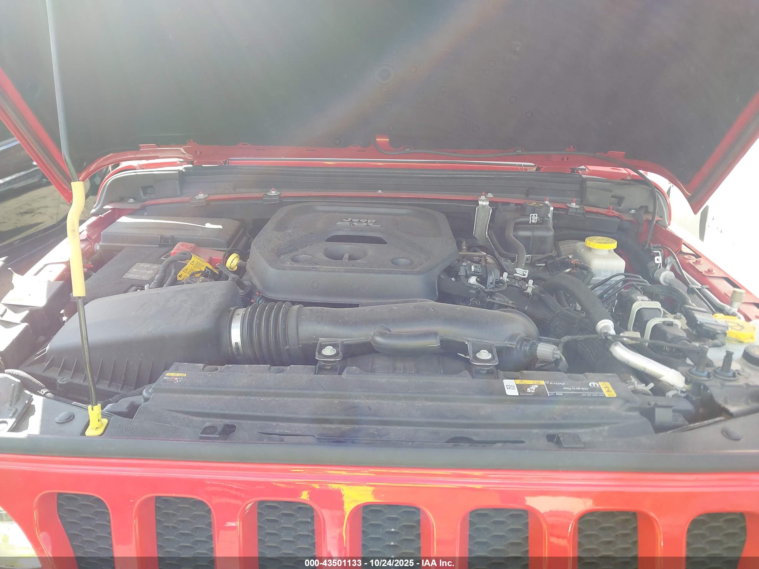 JEEP WRANGLER image 10