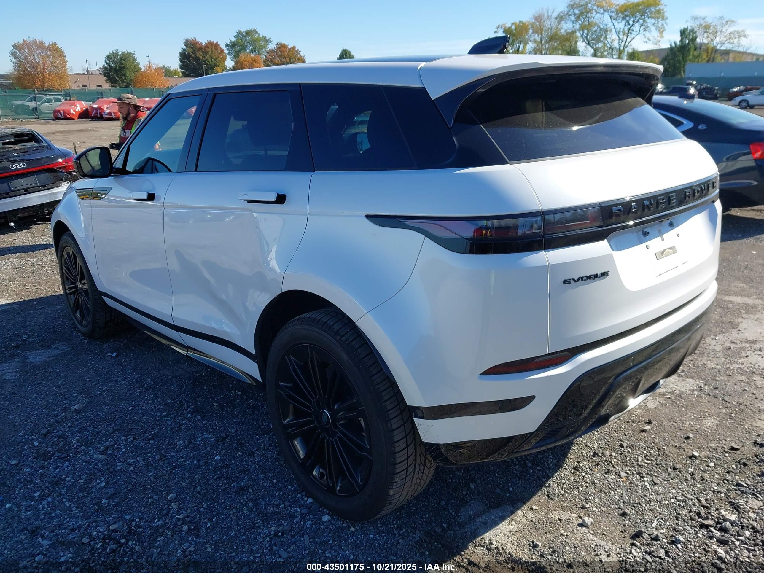 LAND ROVER image 3