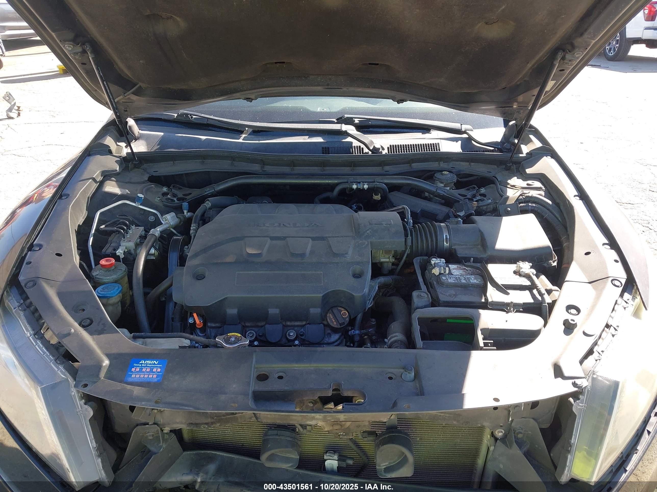 HONDA ACCORD image 10
