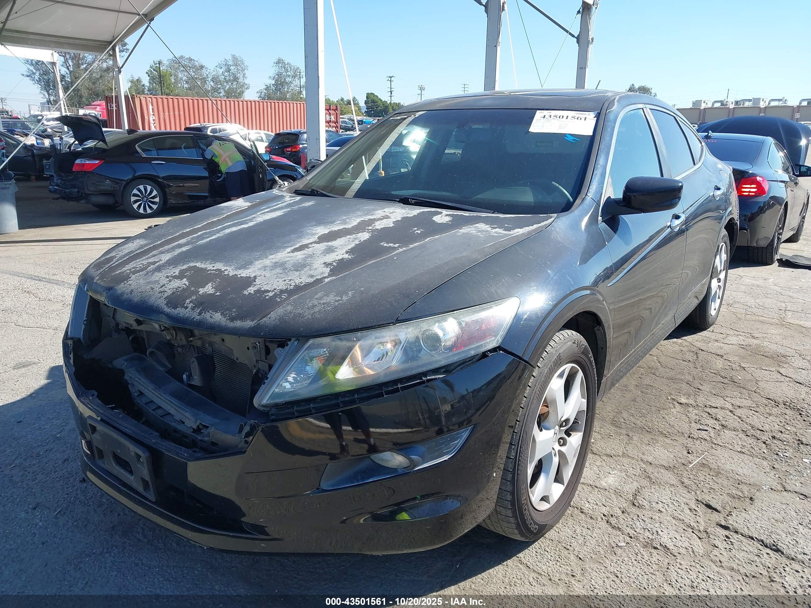 HONDA ACCORD image 2