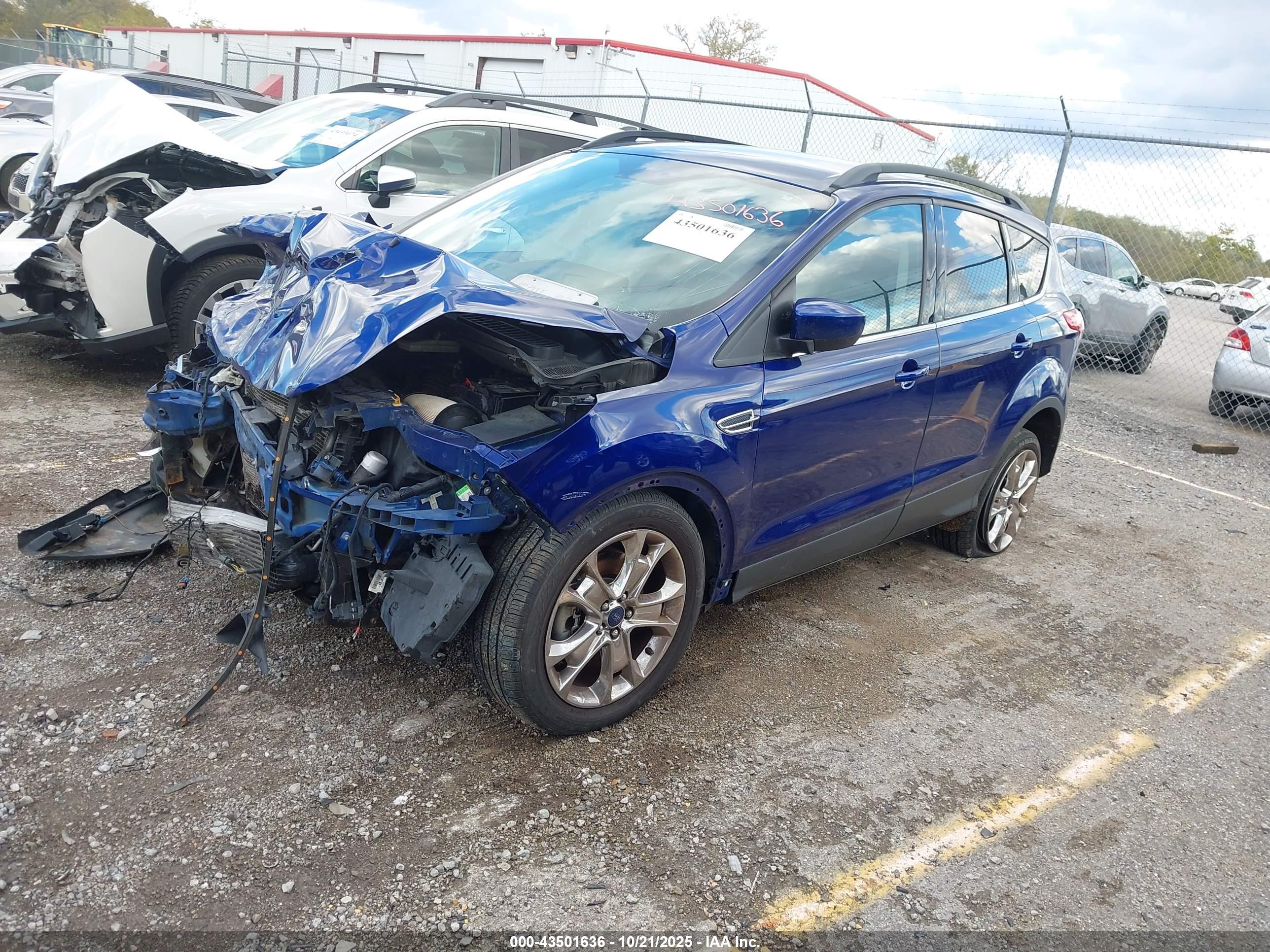 FORD ESCAPE image 2