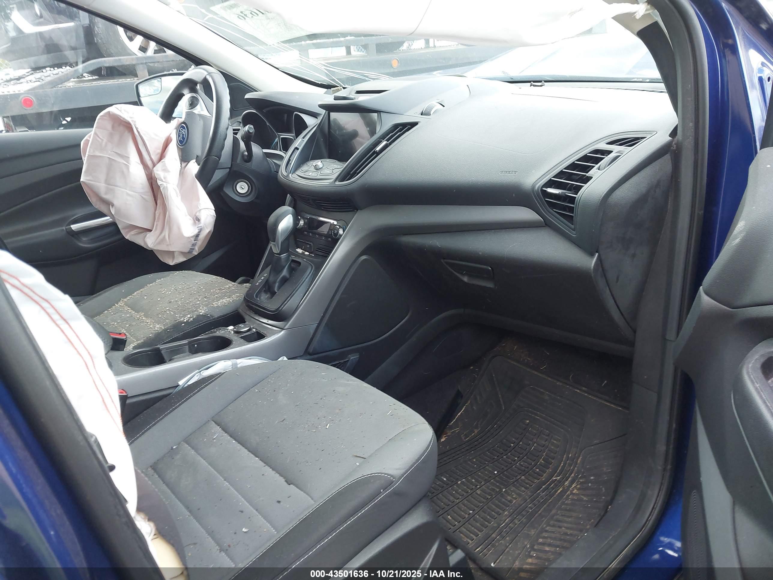 FORD ESCAPE image 5