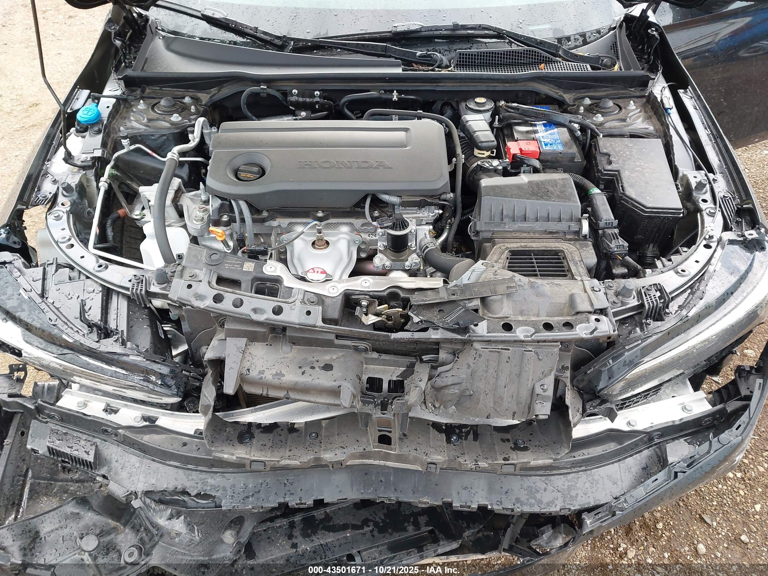 HONDA CIVIC image 10
