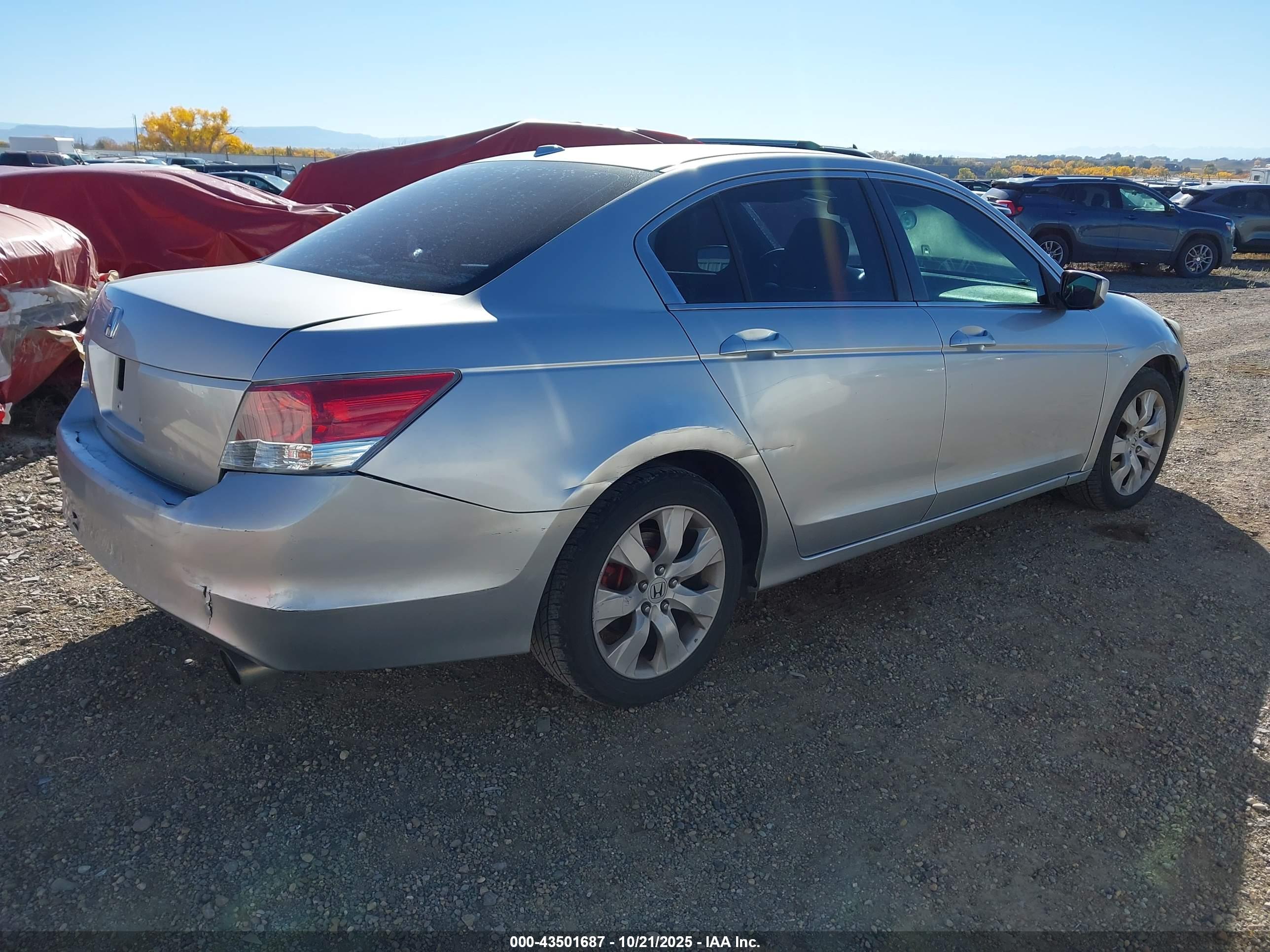 HONDA ACCORD image 4