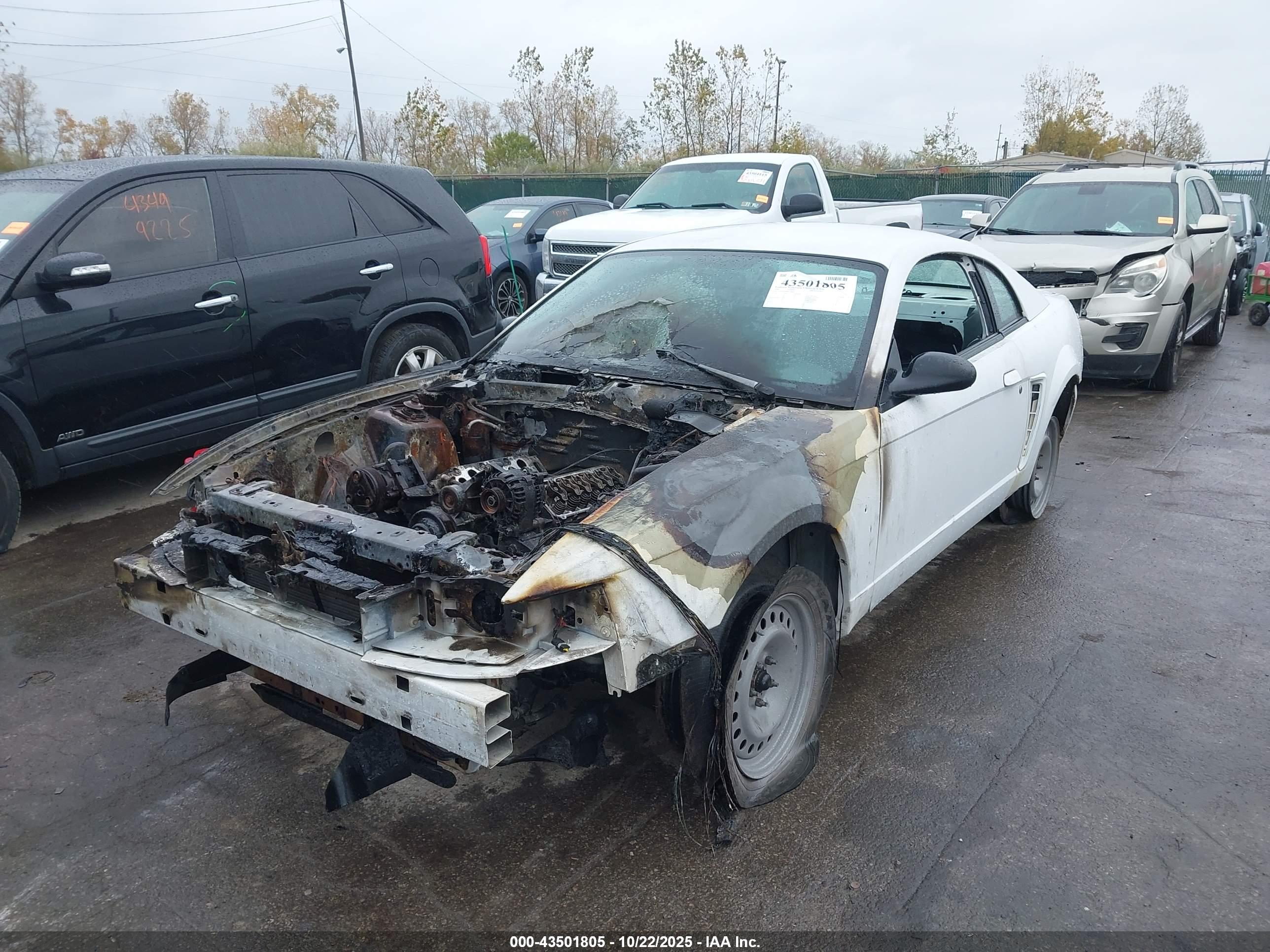 FORD MUSTANG image 2