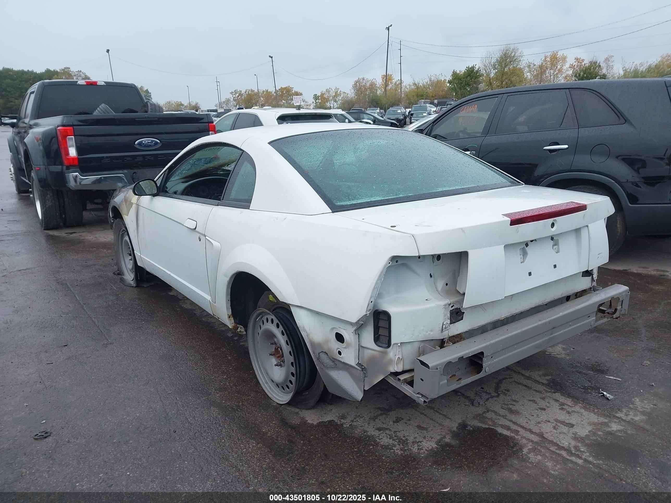 FORD MUSTANG image 3