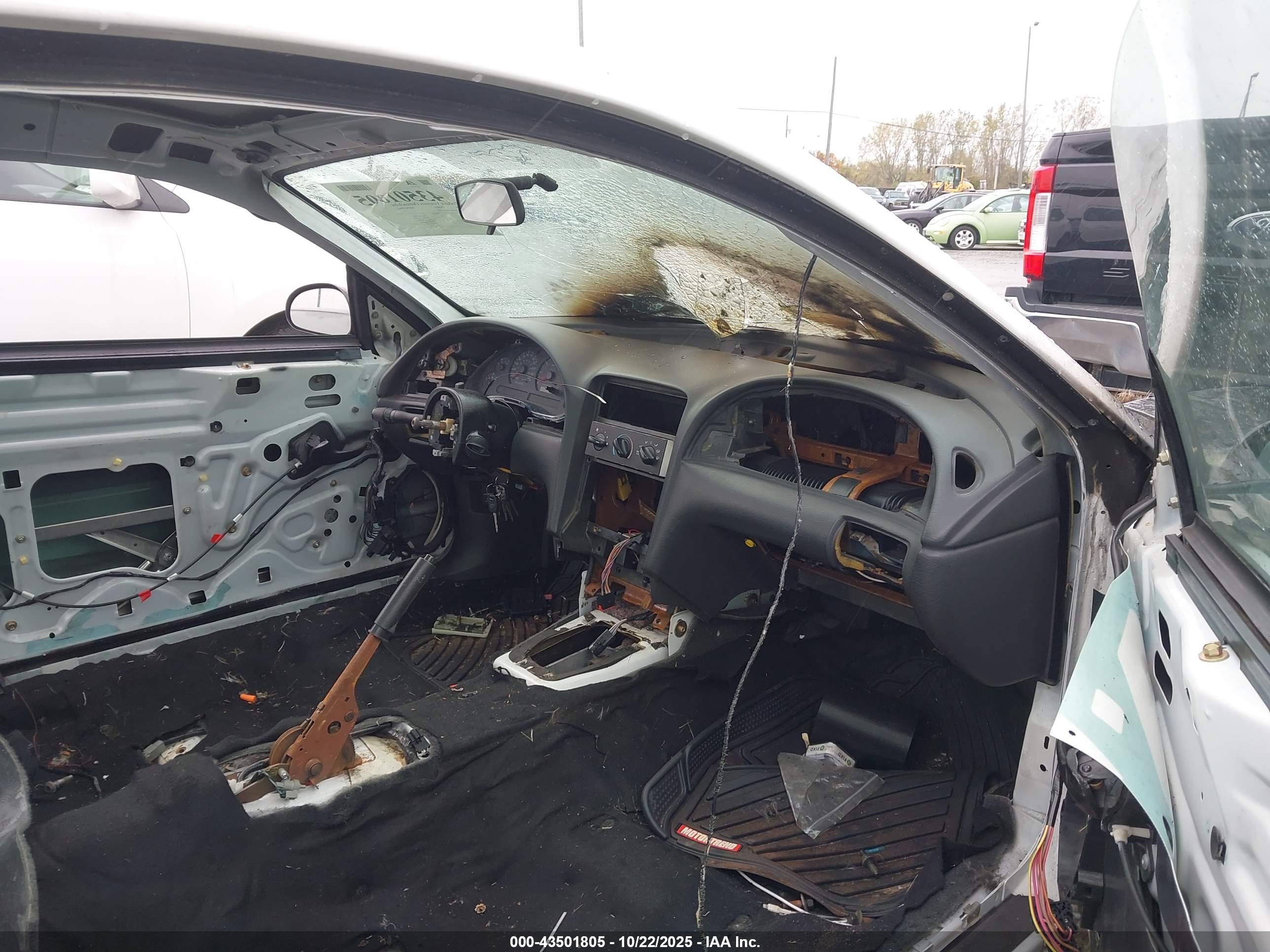 FORD MUSTANG image 5