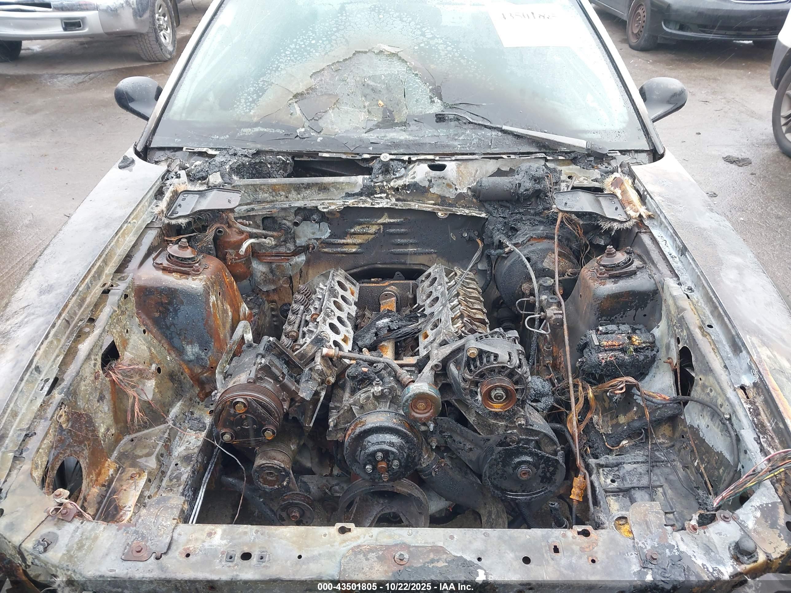 FORD MUSTANG image 6