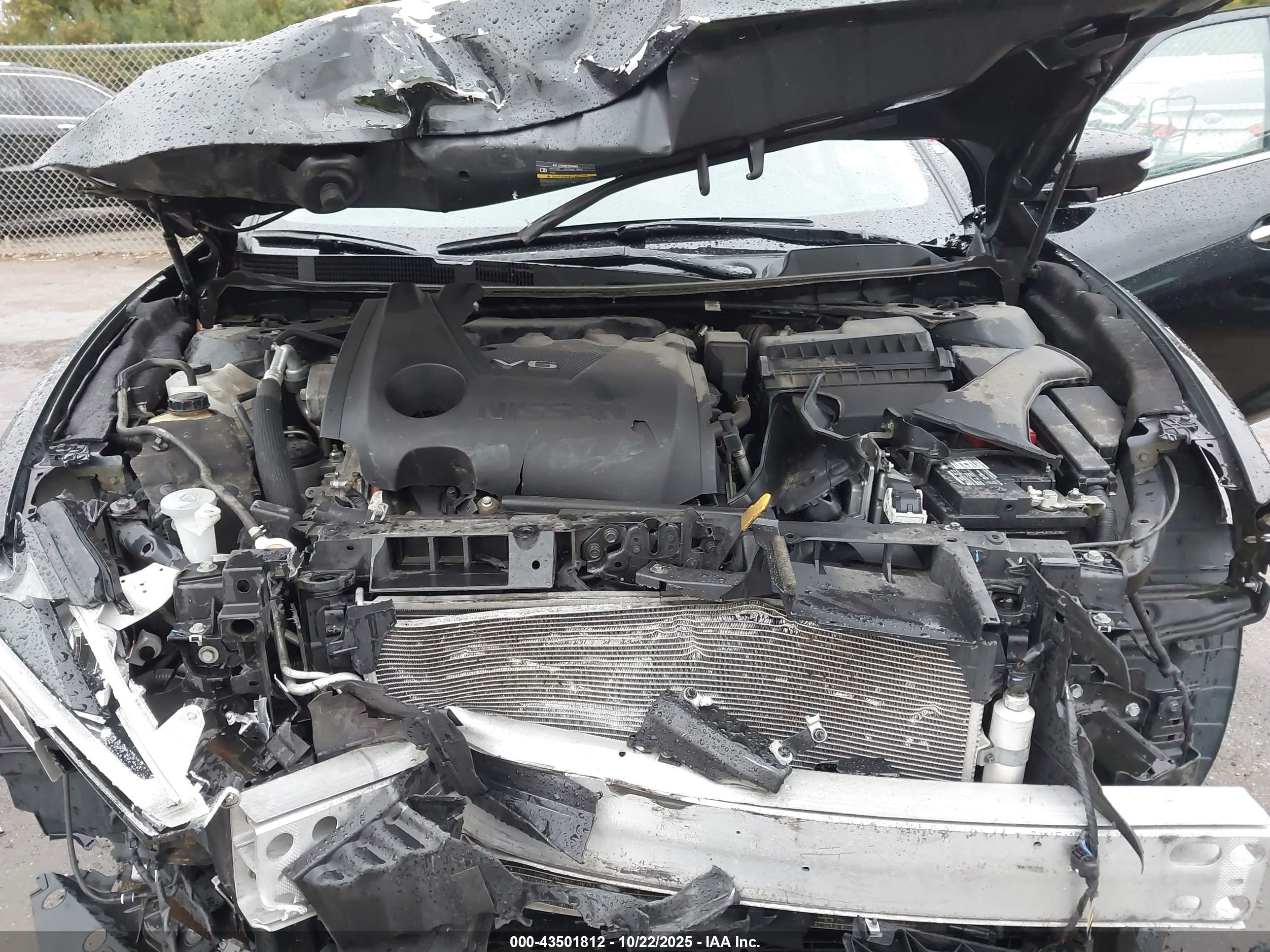 NISSAN MAXIMA image 10