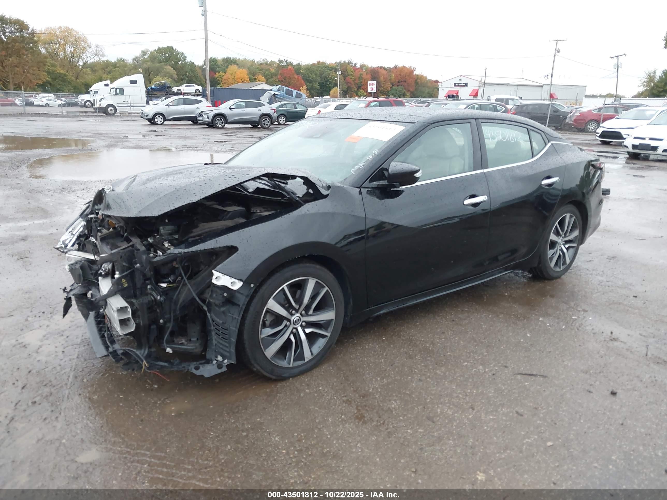 NISSAN MAXIMA image 2