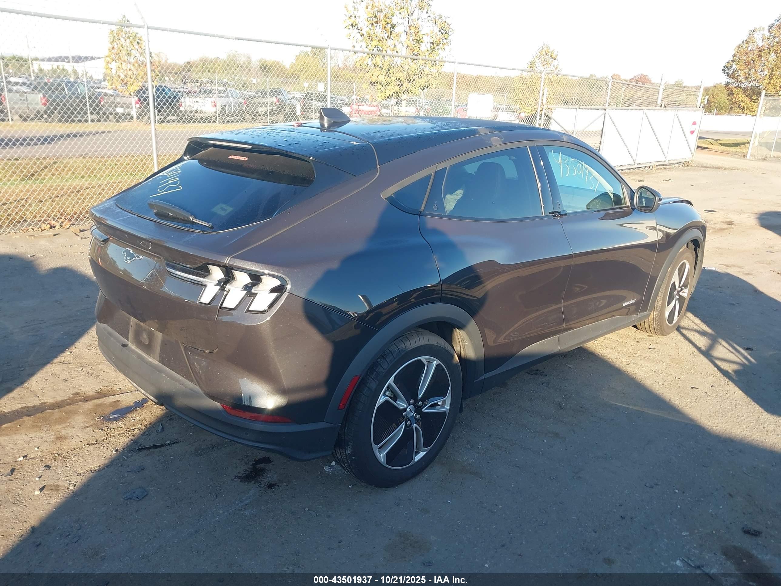 FORD MUSTANG image 4