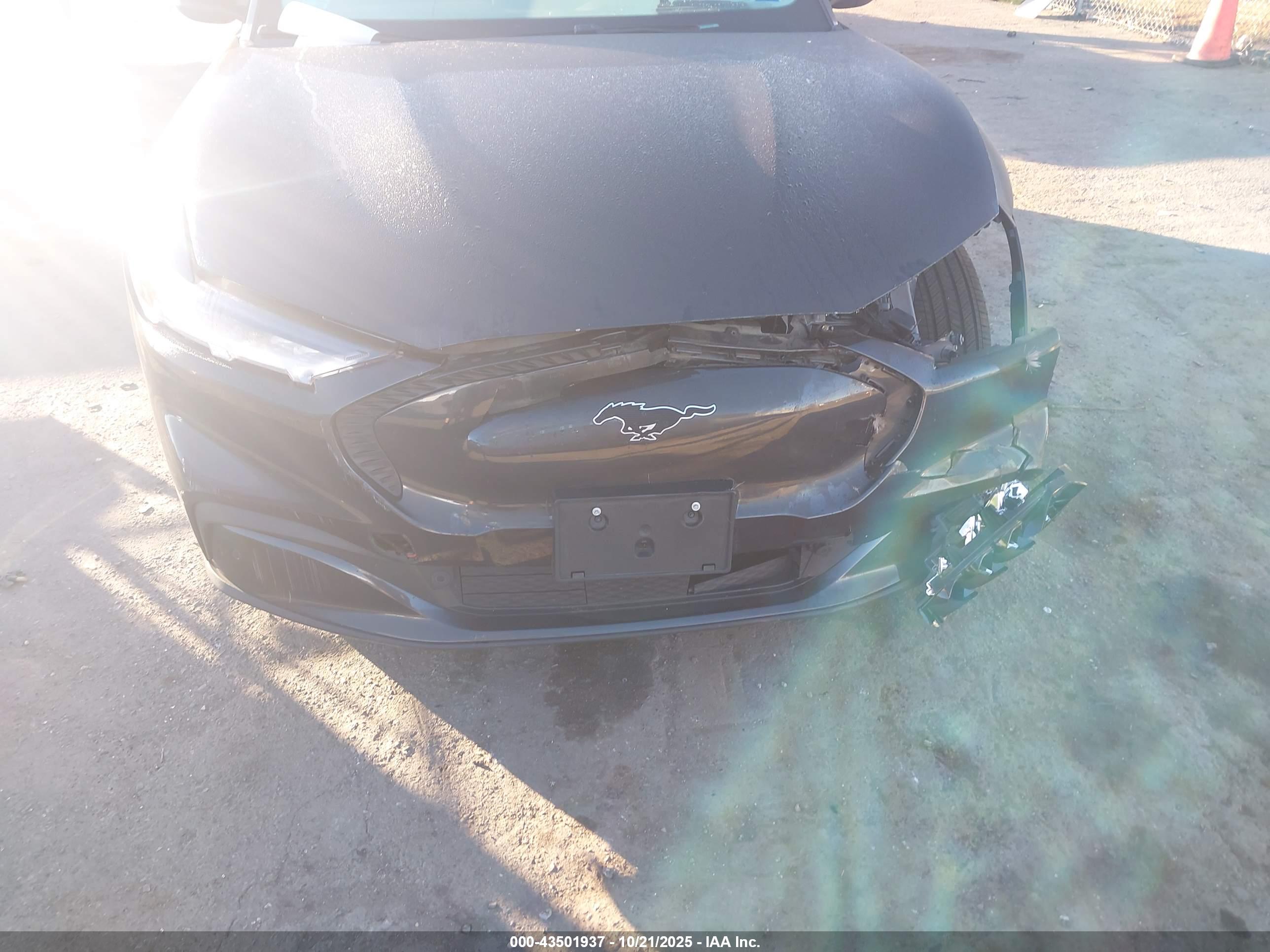 FORD MUSTANG image 6