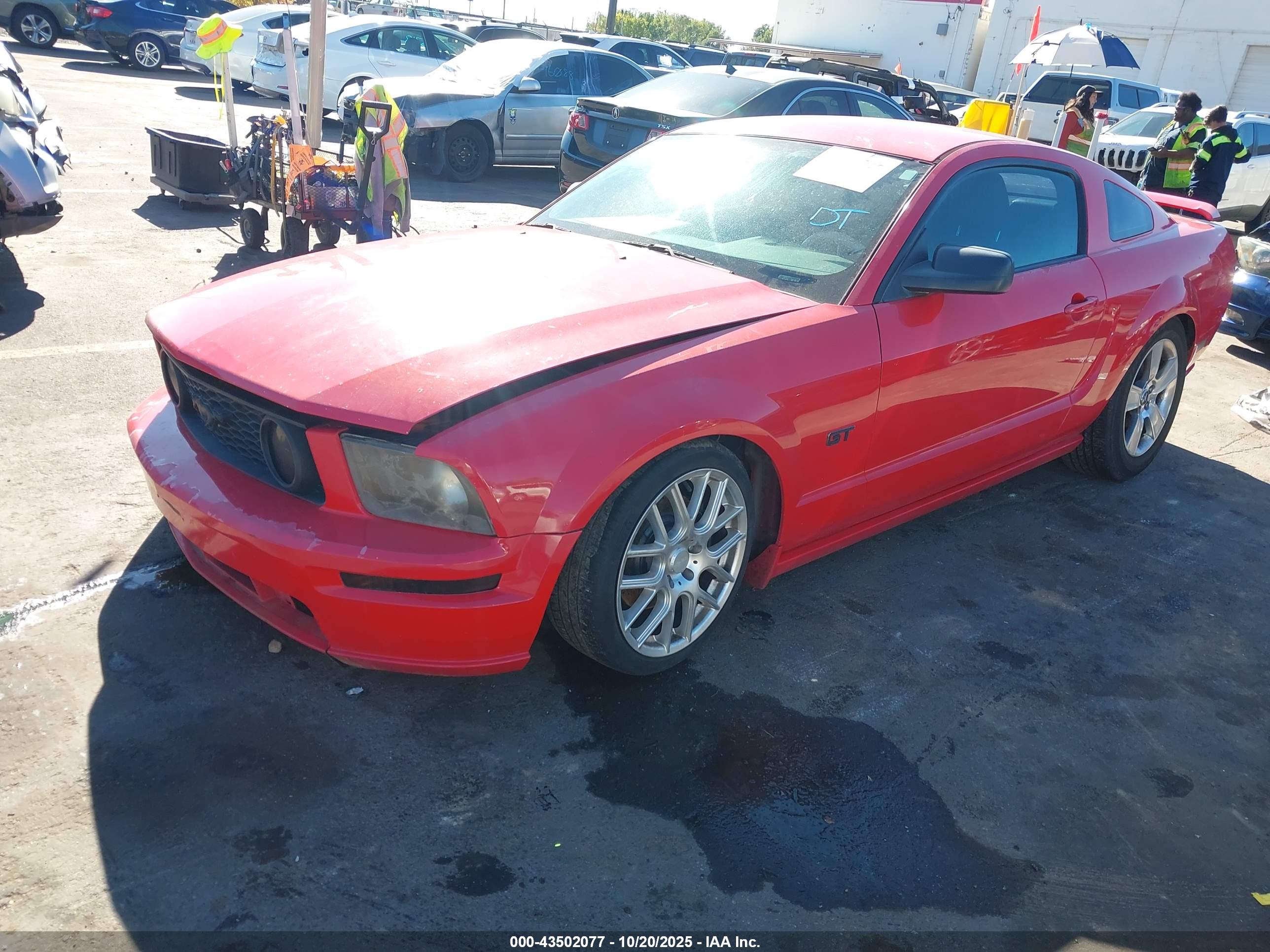 FORD MUSTANG image 2