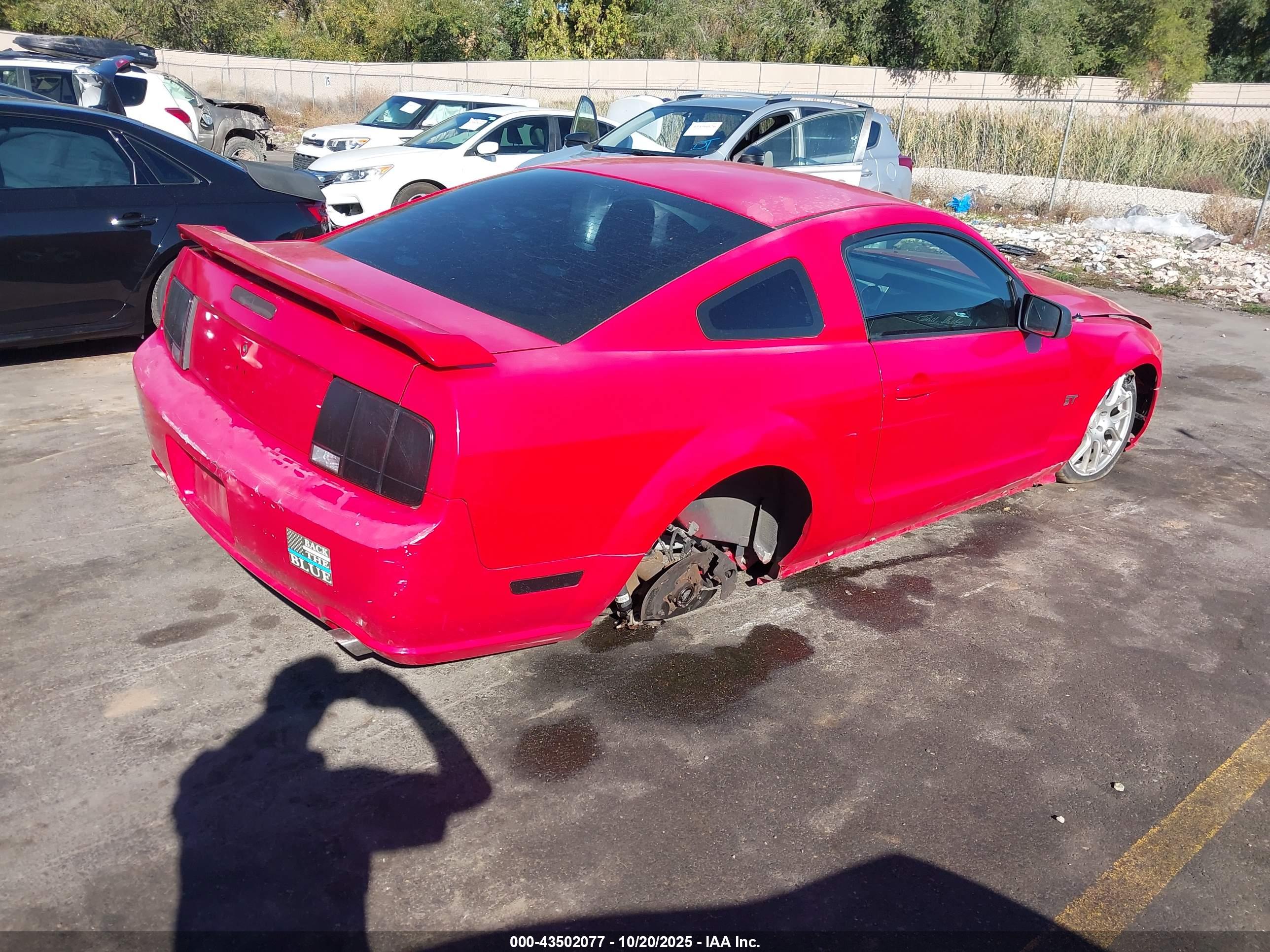 FORD MUSTANG image 4
