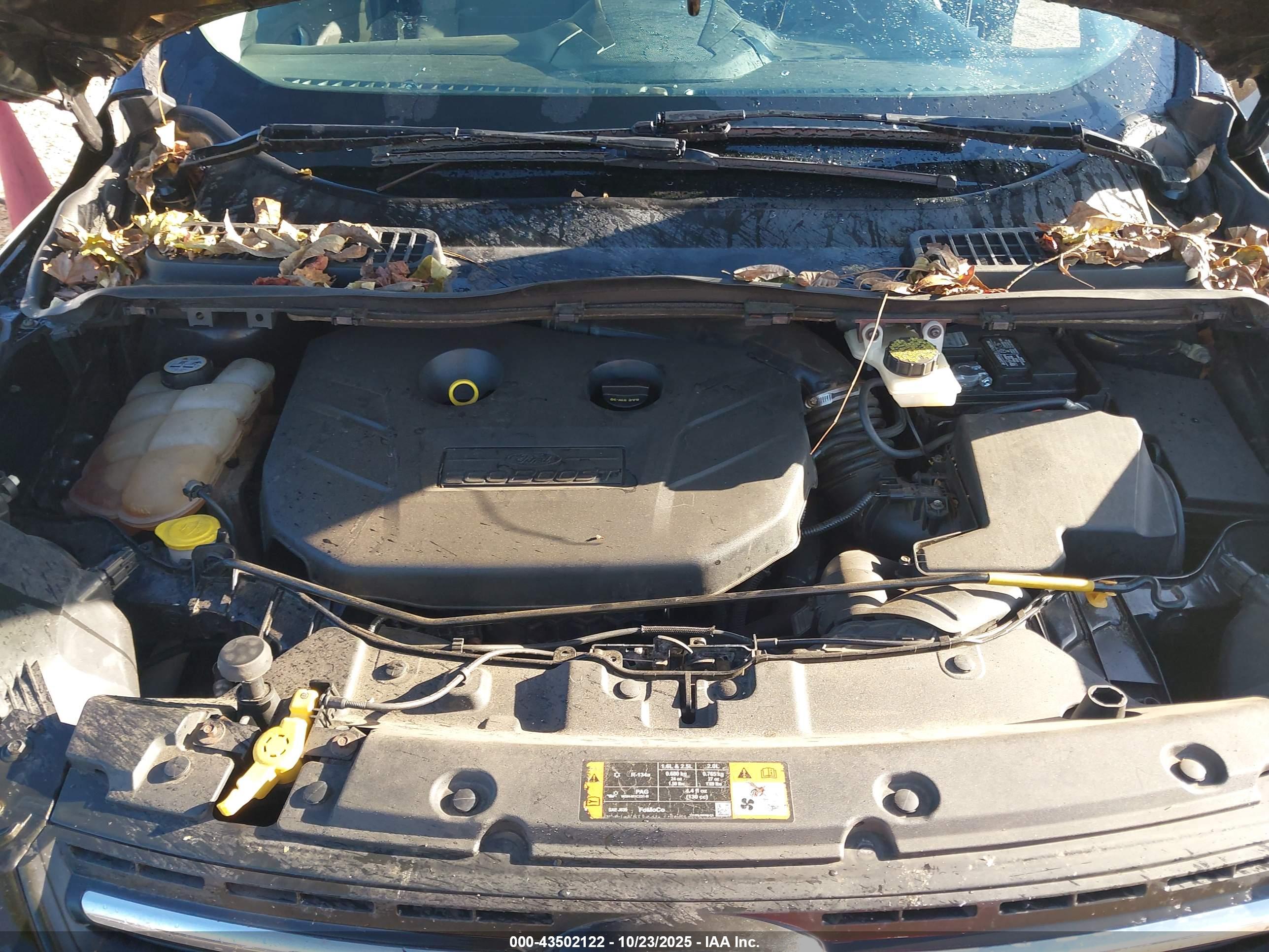FORD ESCAPE image 10