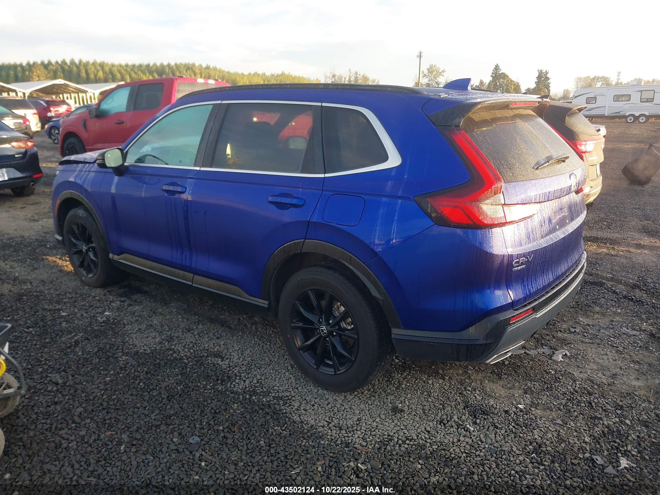 HONDA CR-V image 3