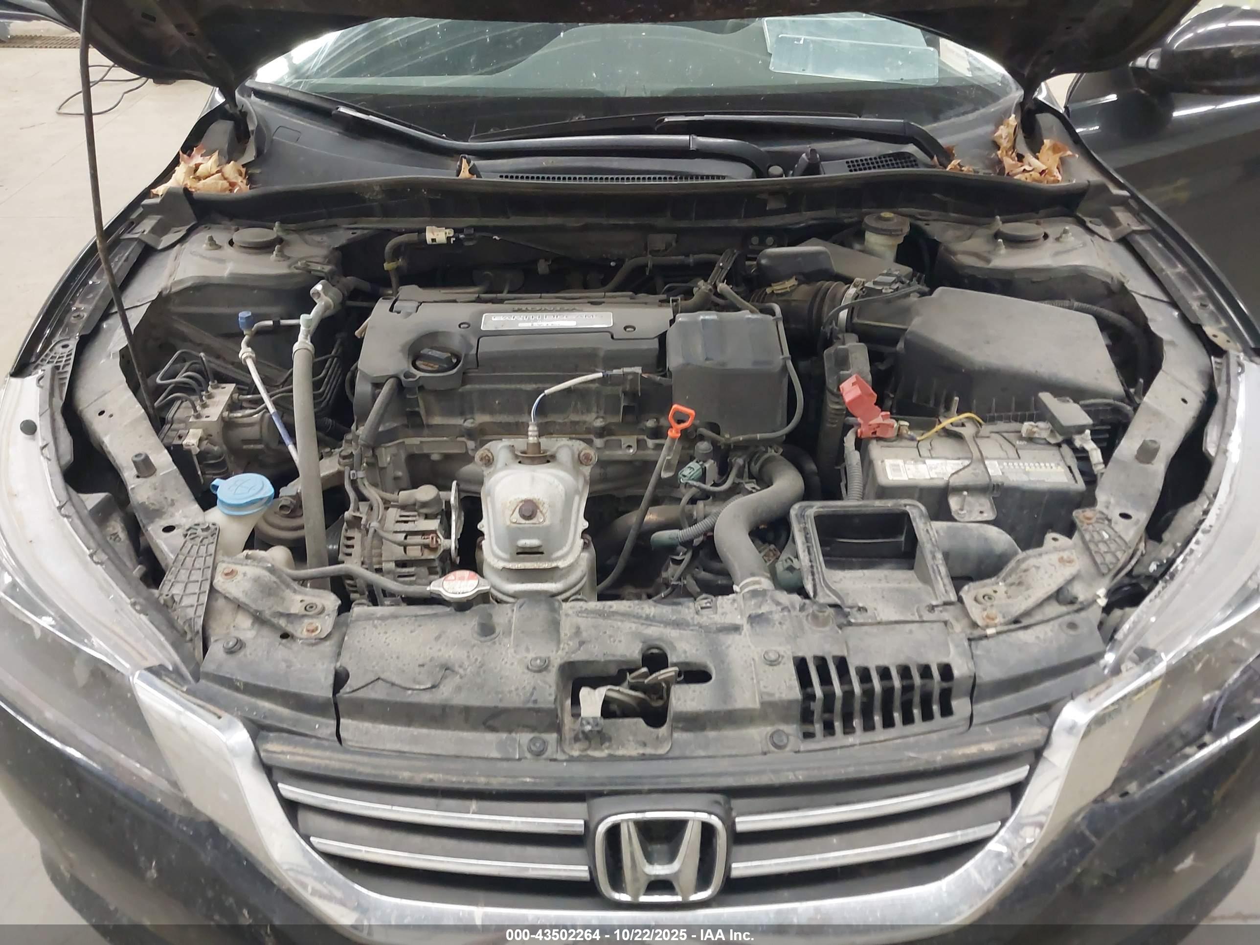 HONDA ACCORD image 10