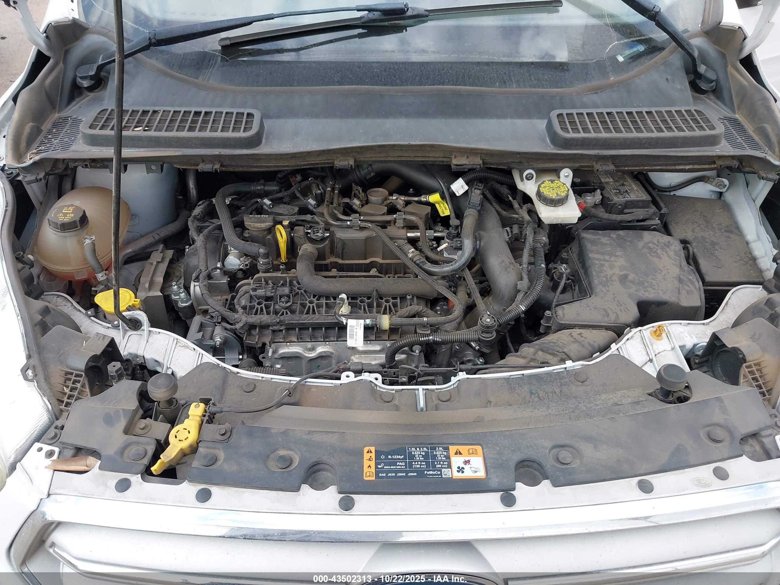 FORD ESCAPE image 10