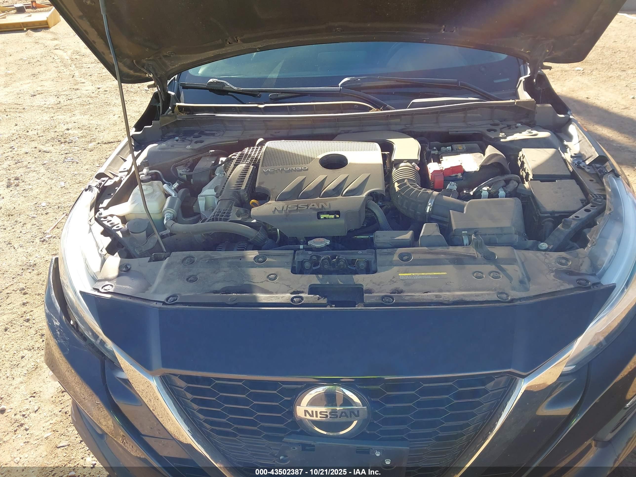 NISSAN ALTIMA image 10