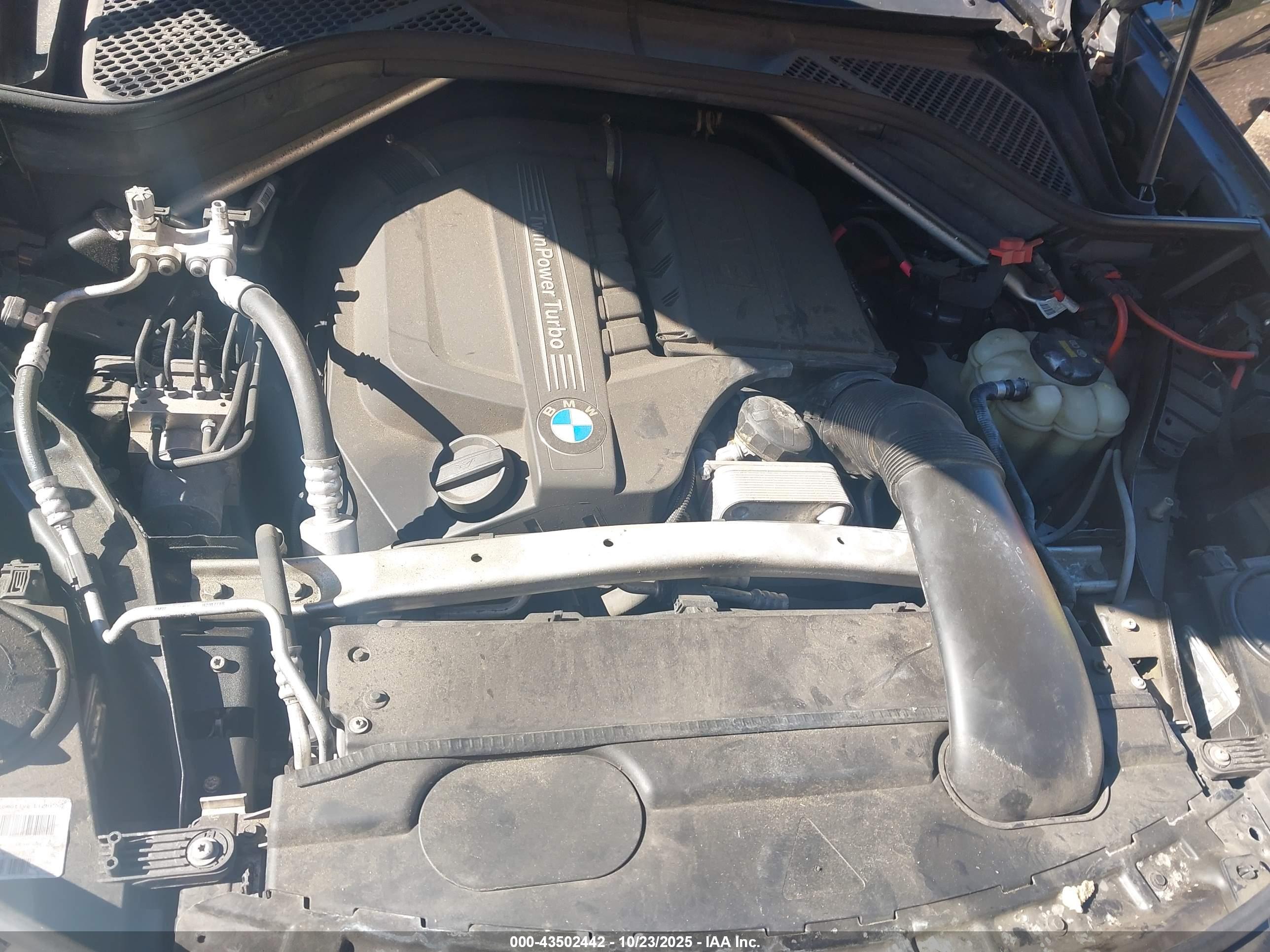 BMW X5 image 10