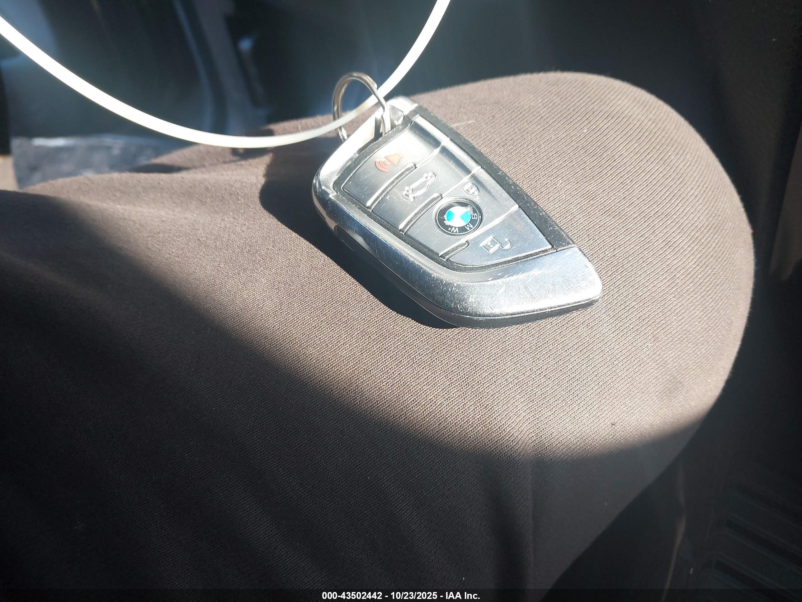 BMW X5 image 11
