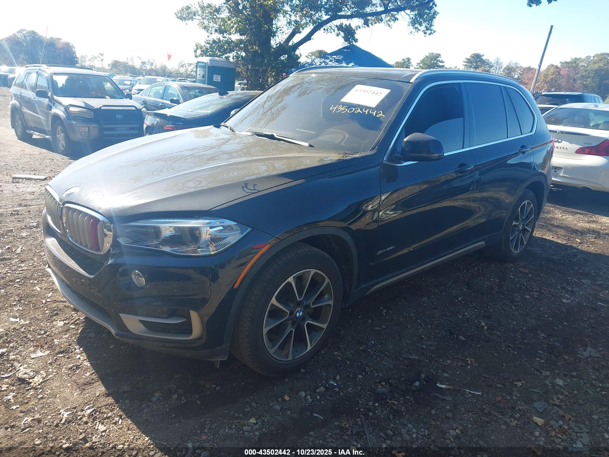 BMW X5 image 2