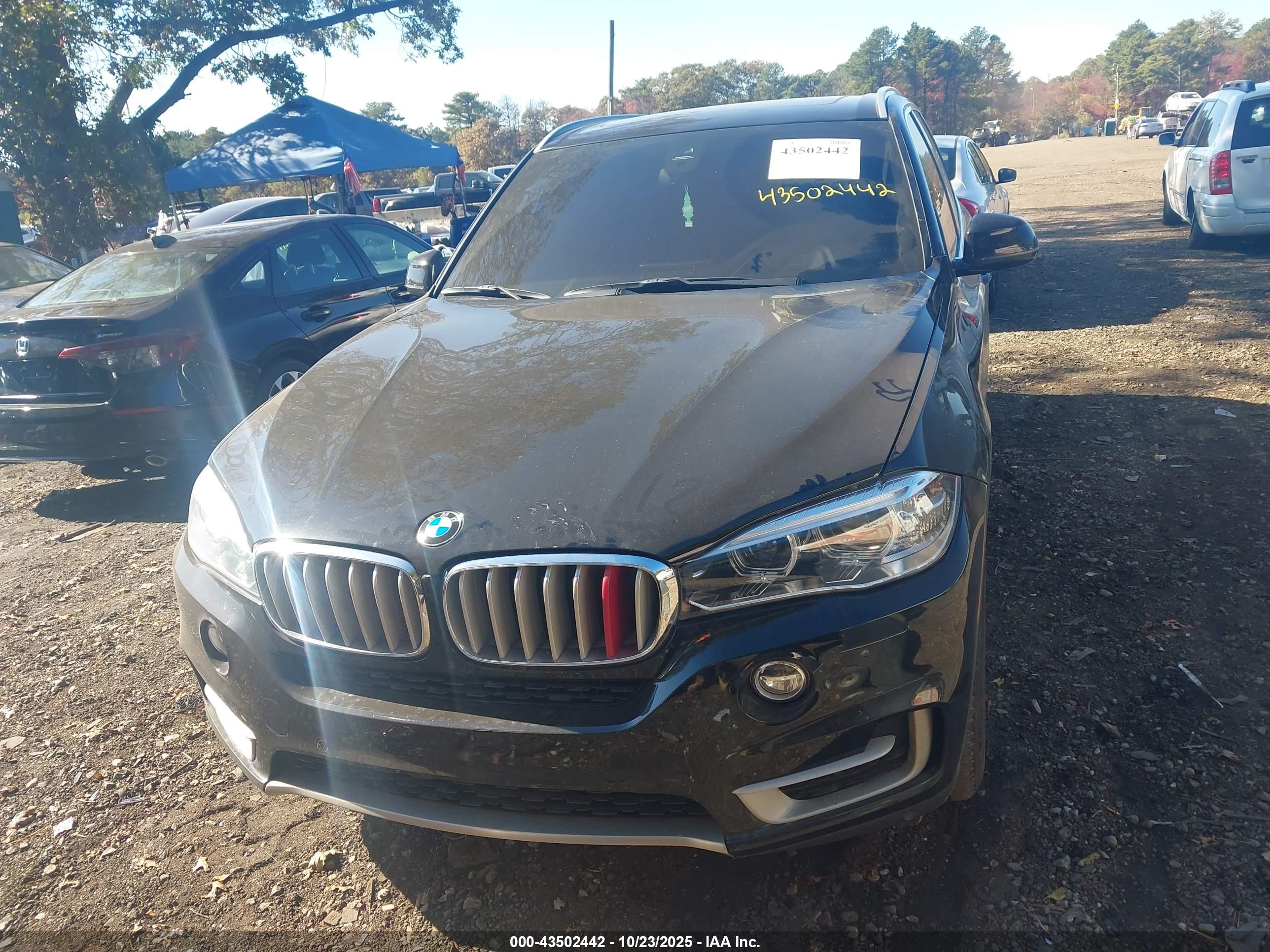 BMW X5 image 6