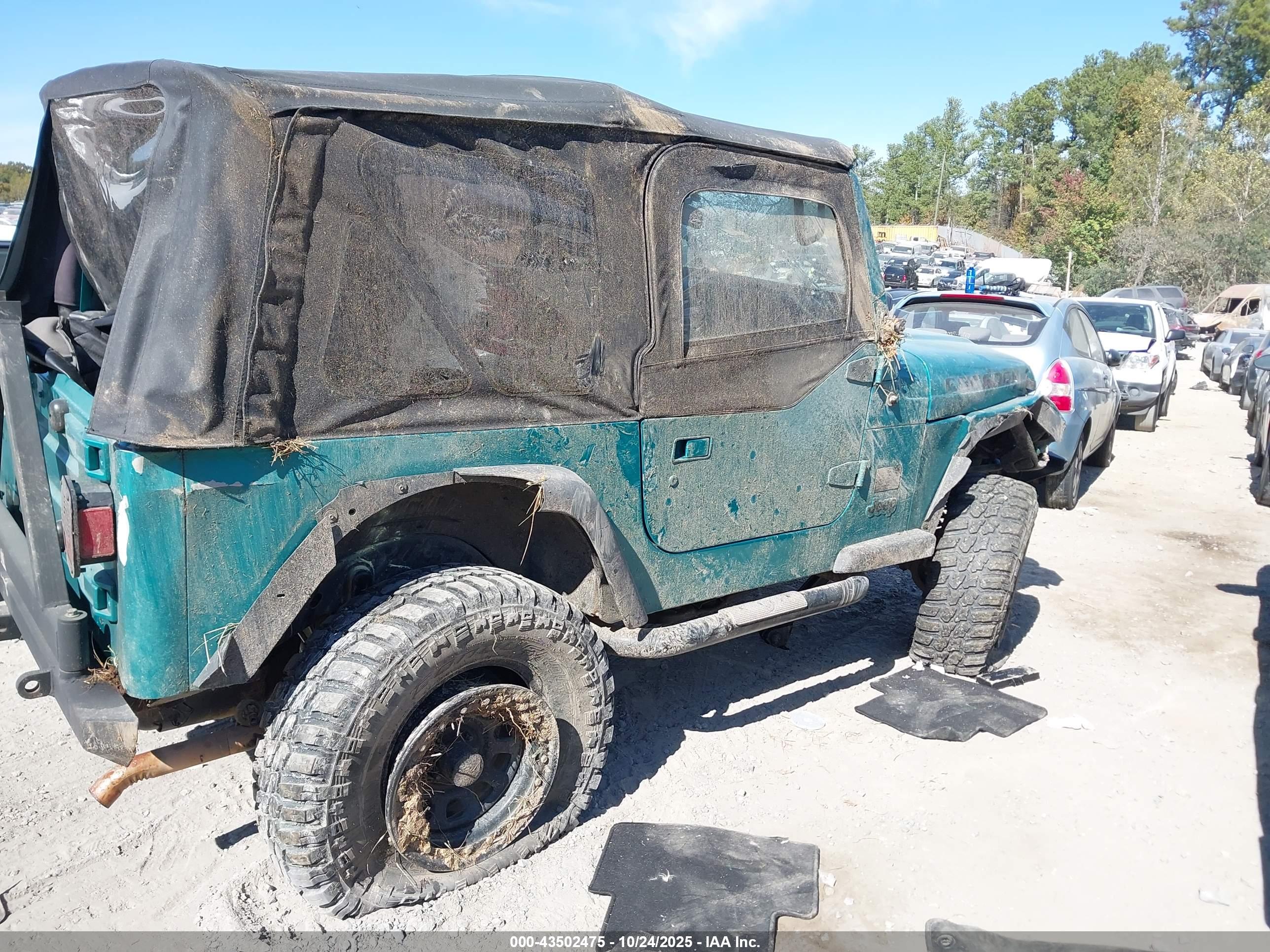 JEEP WRANGLER image 6