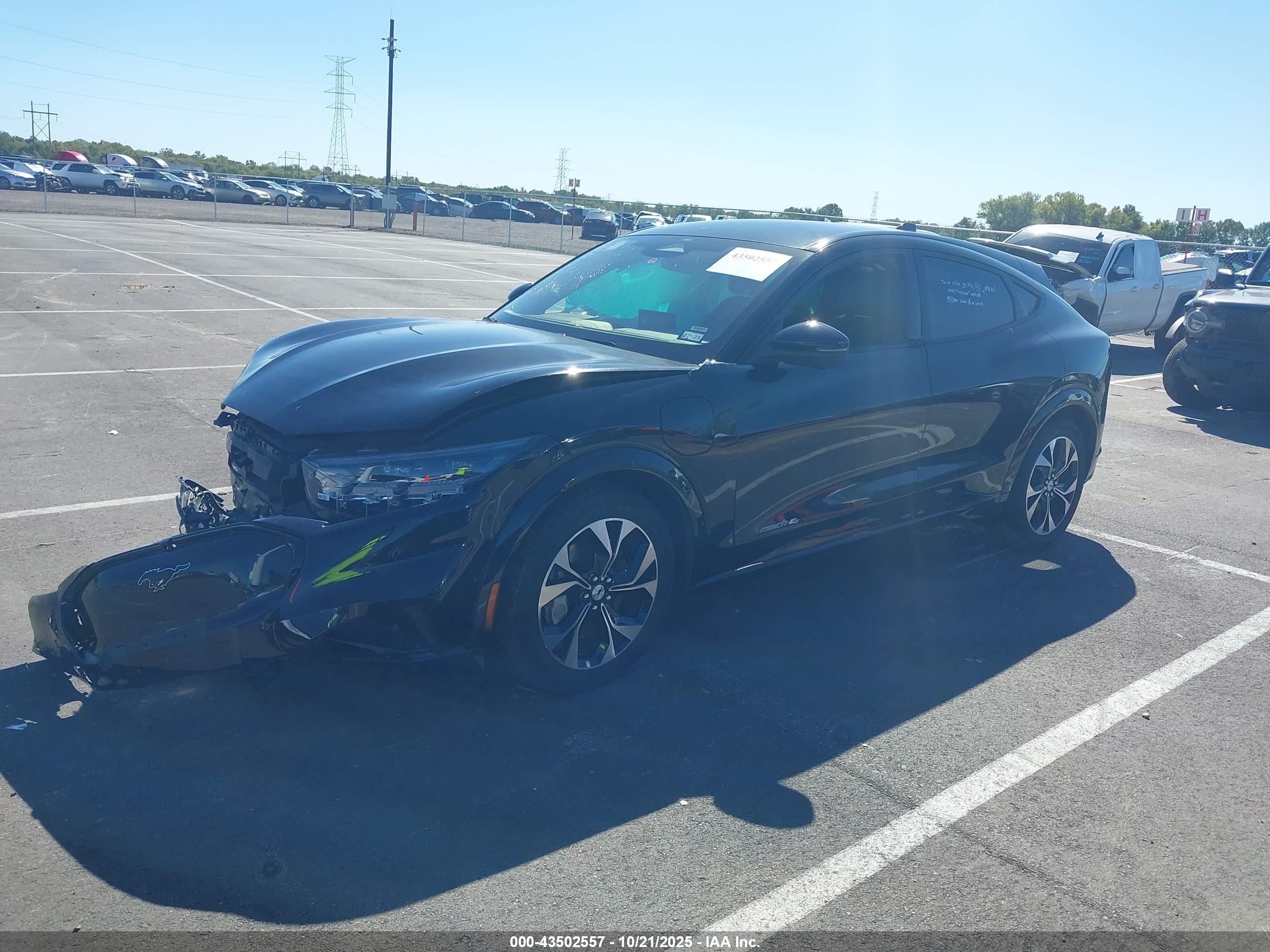 FORD MUSTANG image 2