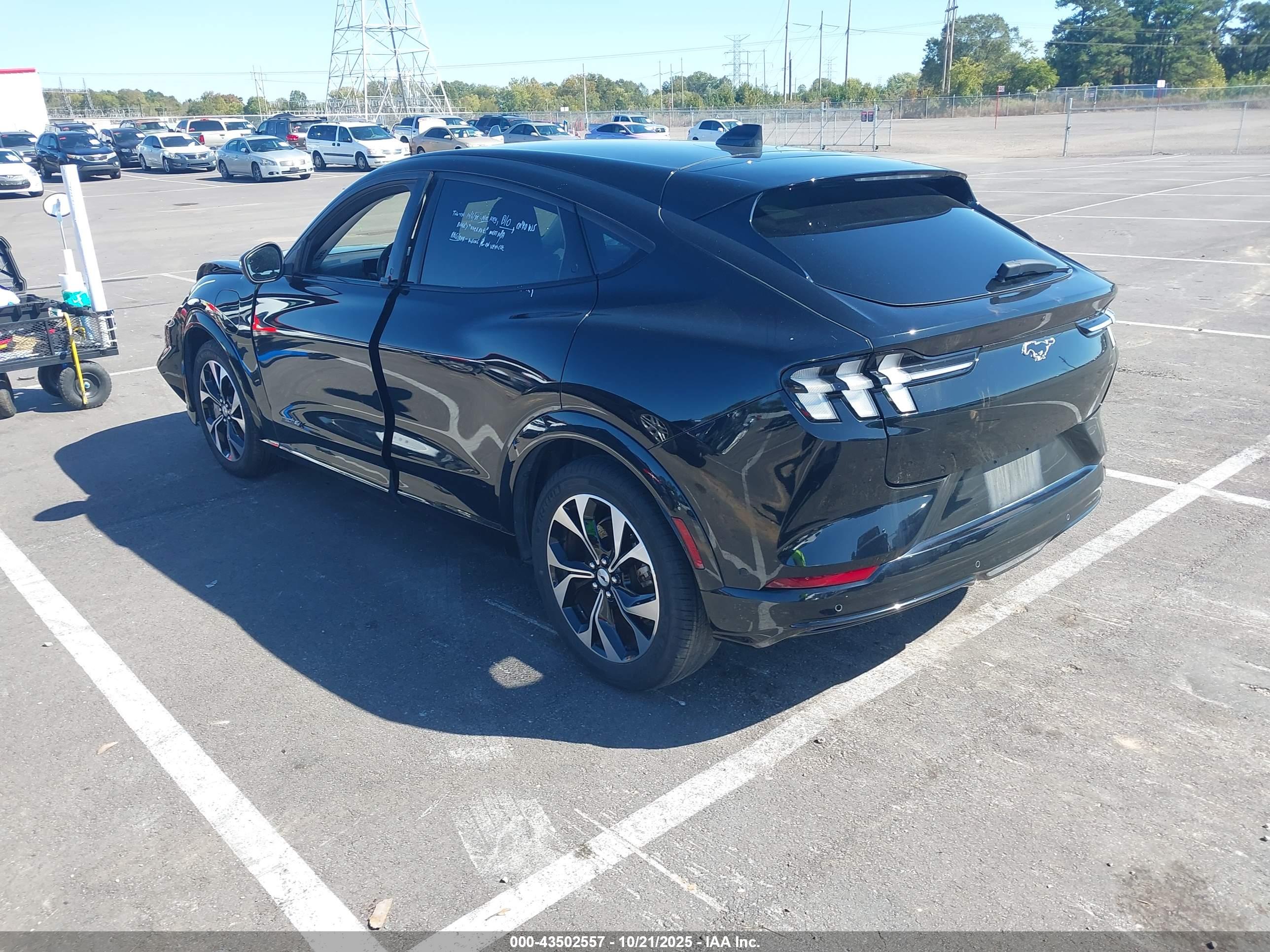 FORD MUSTANG image 3