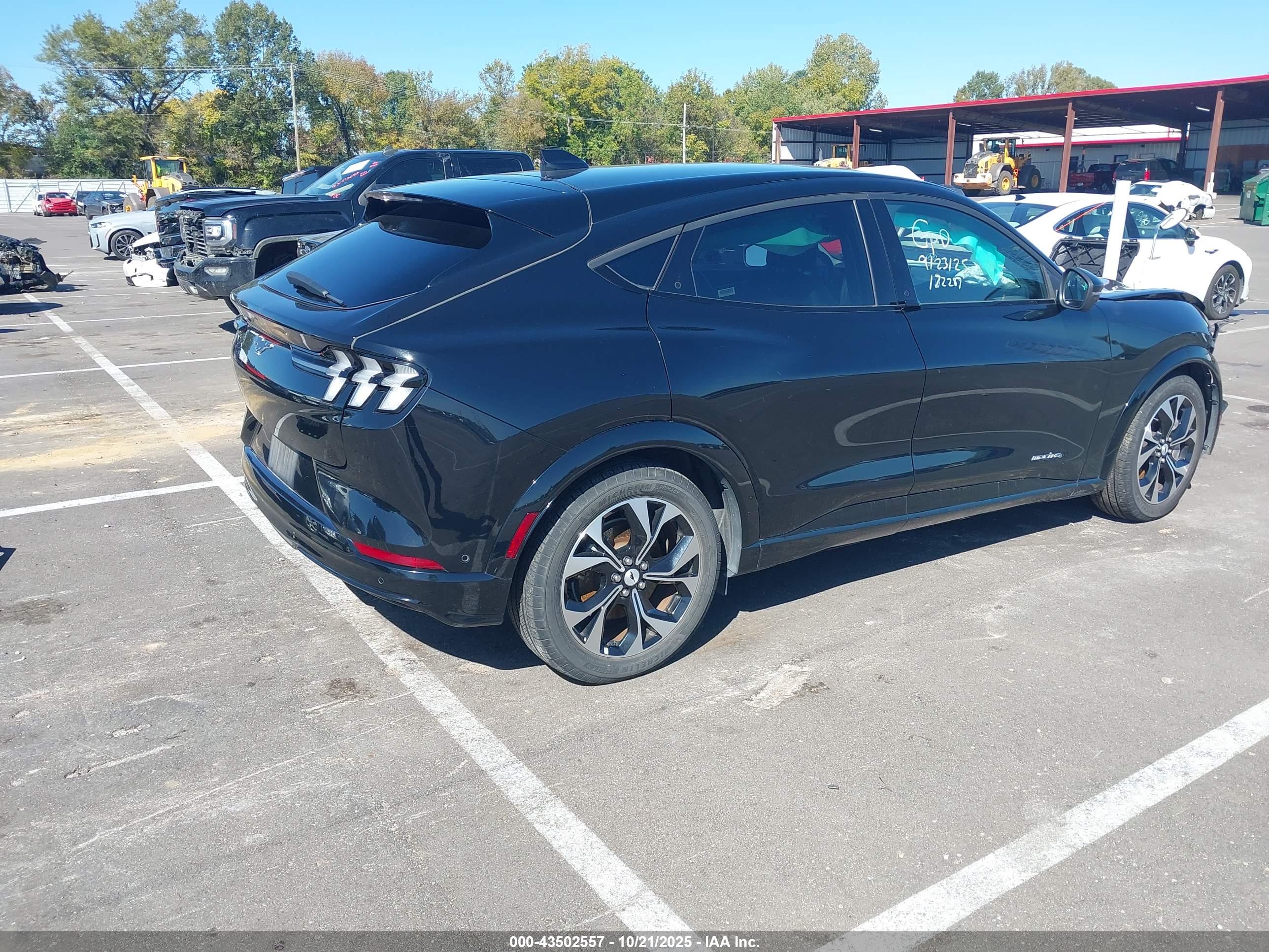 FORD MUSTANG image 4