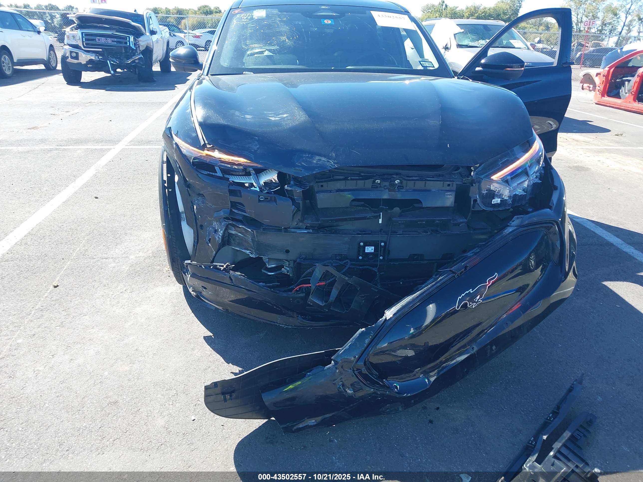 FORD MUSTANG image 6