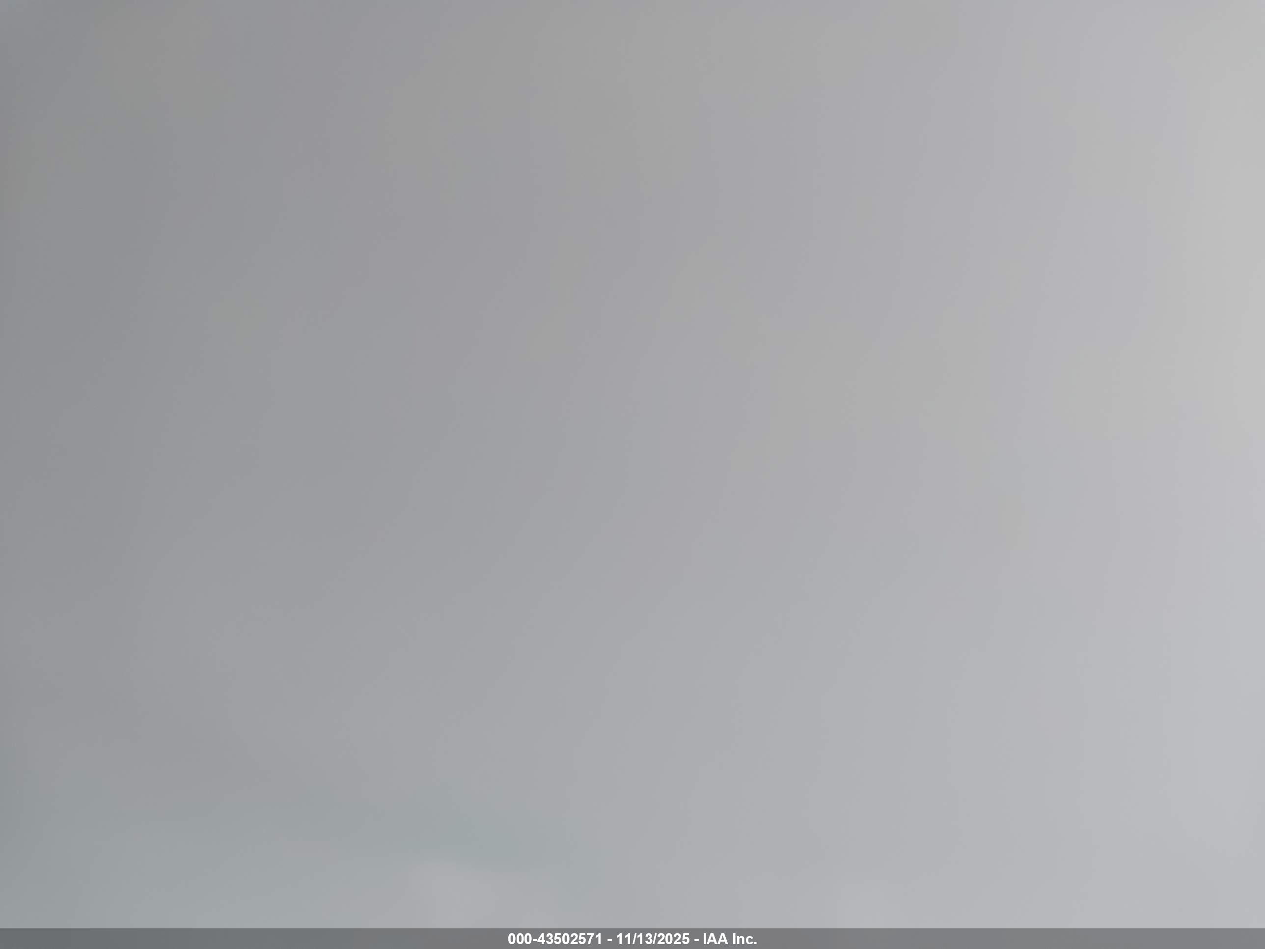 GREAT DANE image 7
