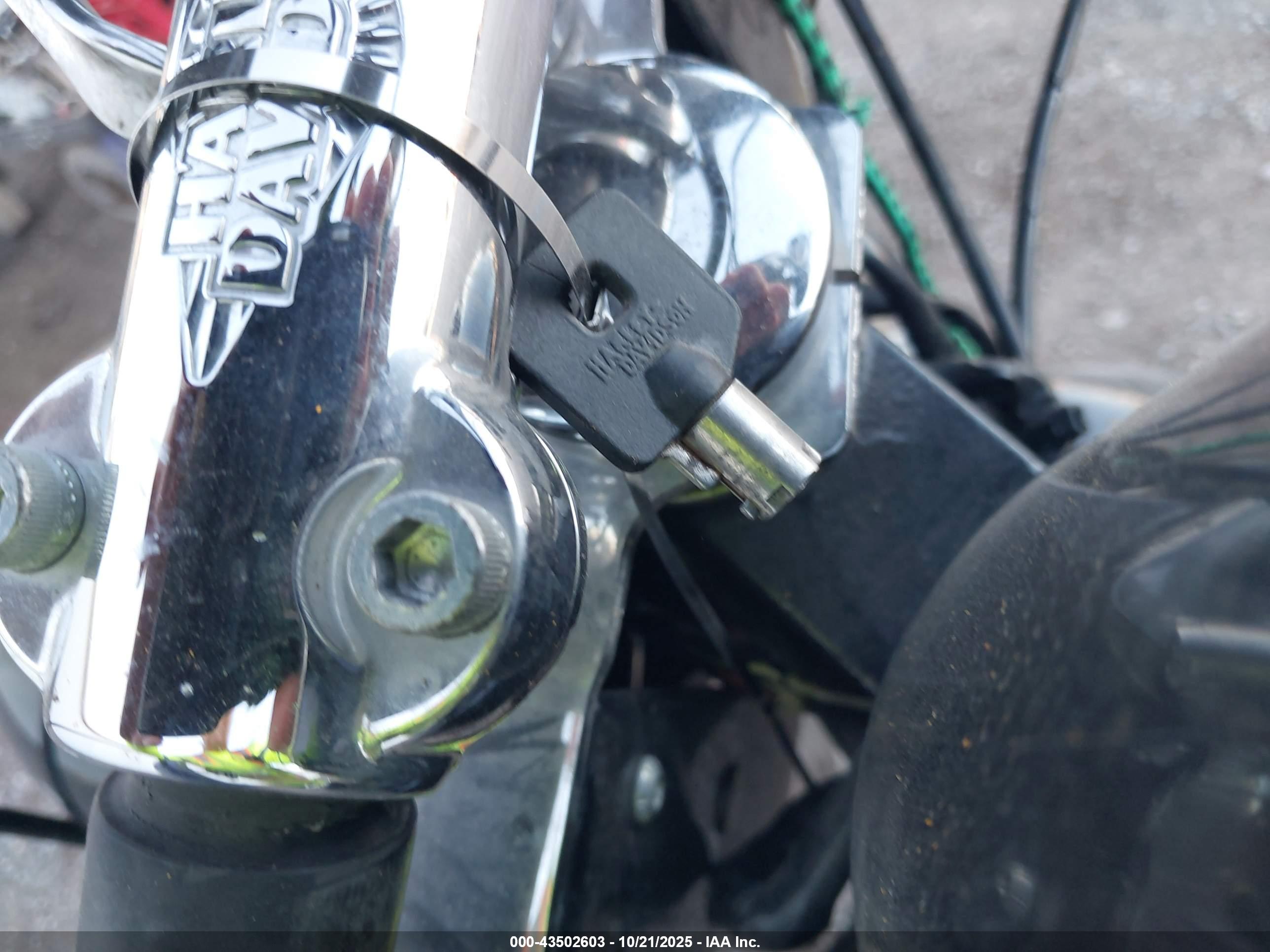 HARLEY-DAVIDSON FLS image 11