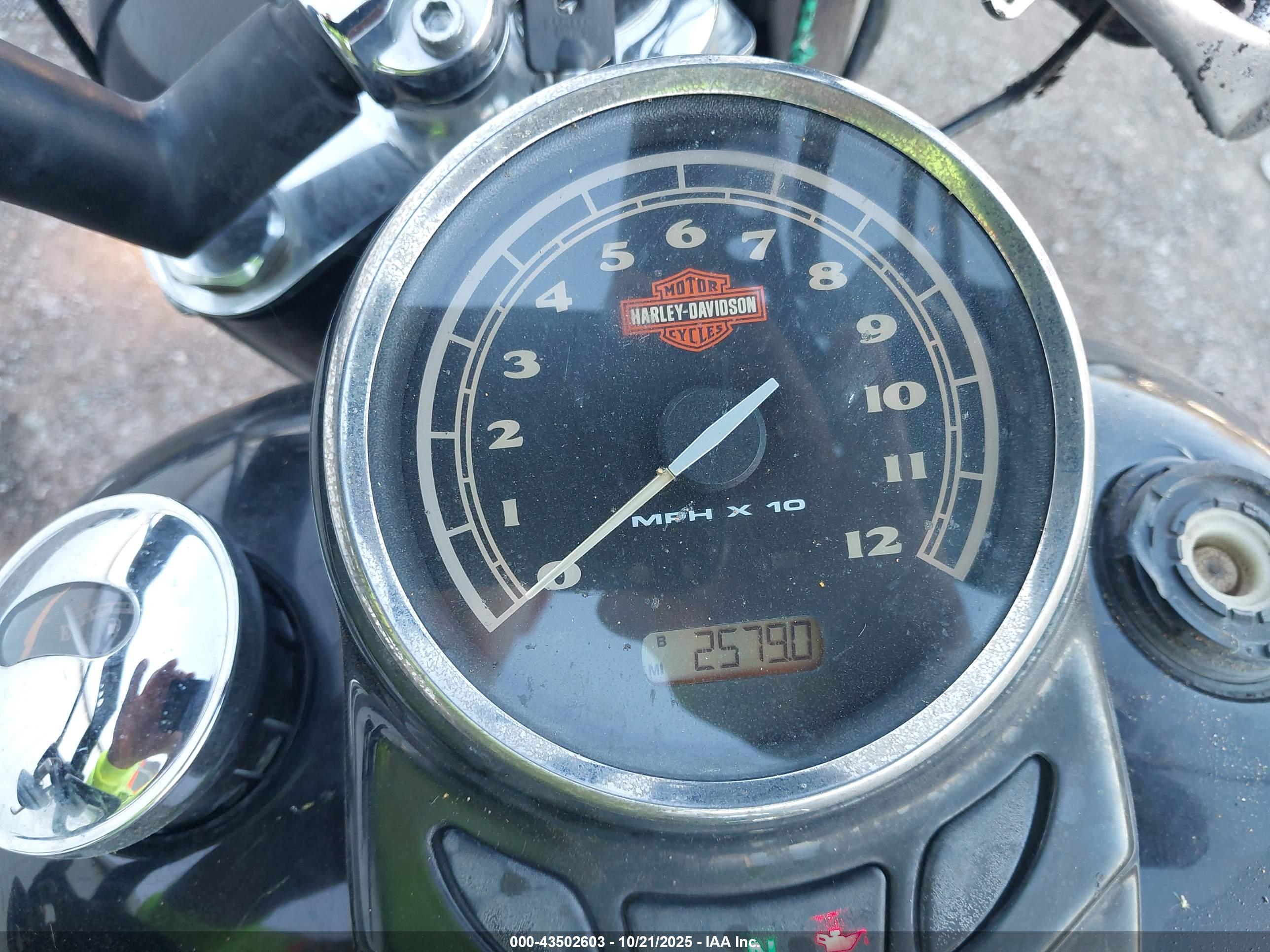 HARLEY-DAVIDSON FLS image 7